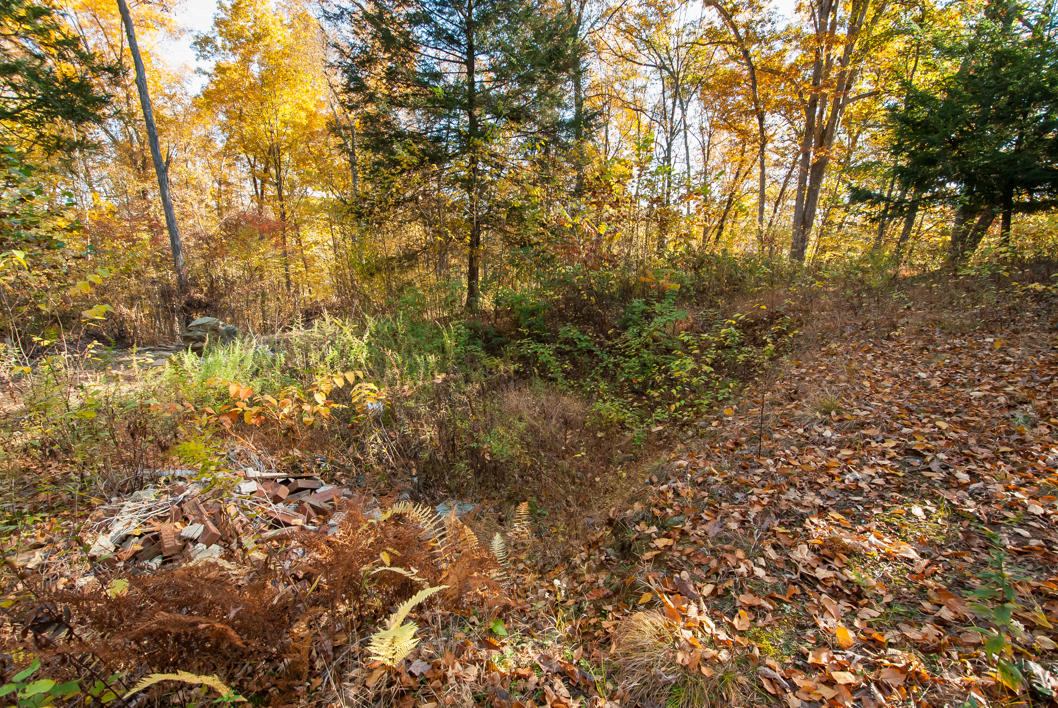  Nestled in the Hills of Southbury - 物件實景