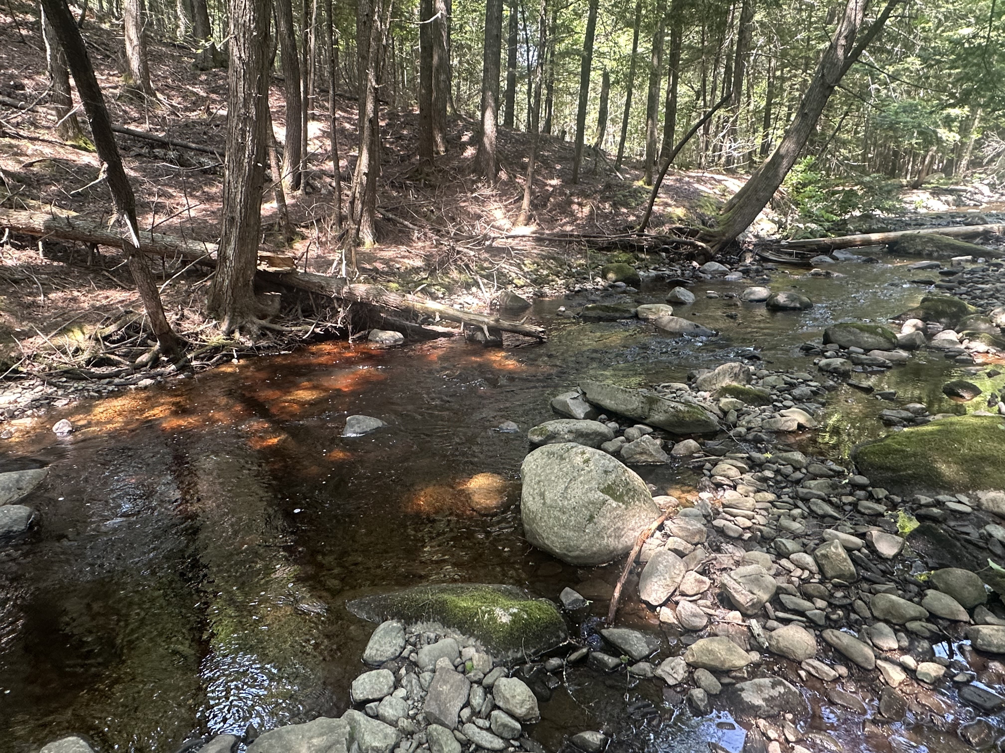 Palermo, Maine, 04354, United States, 3 Bedrooms Bedrooms, ,3 BathroomsBathrooms,Residential,For Sale,1885908