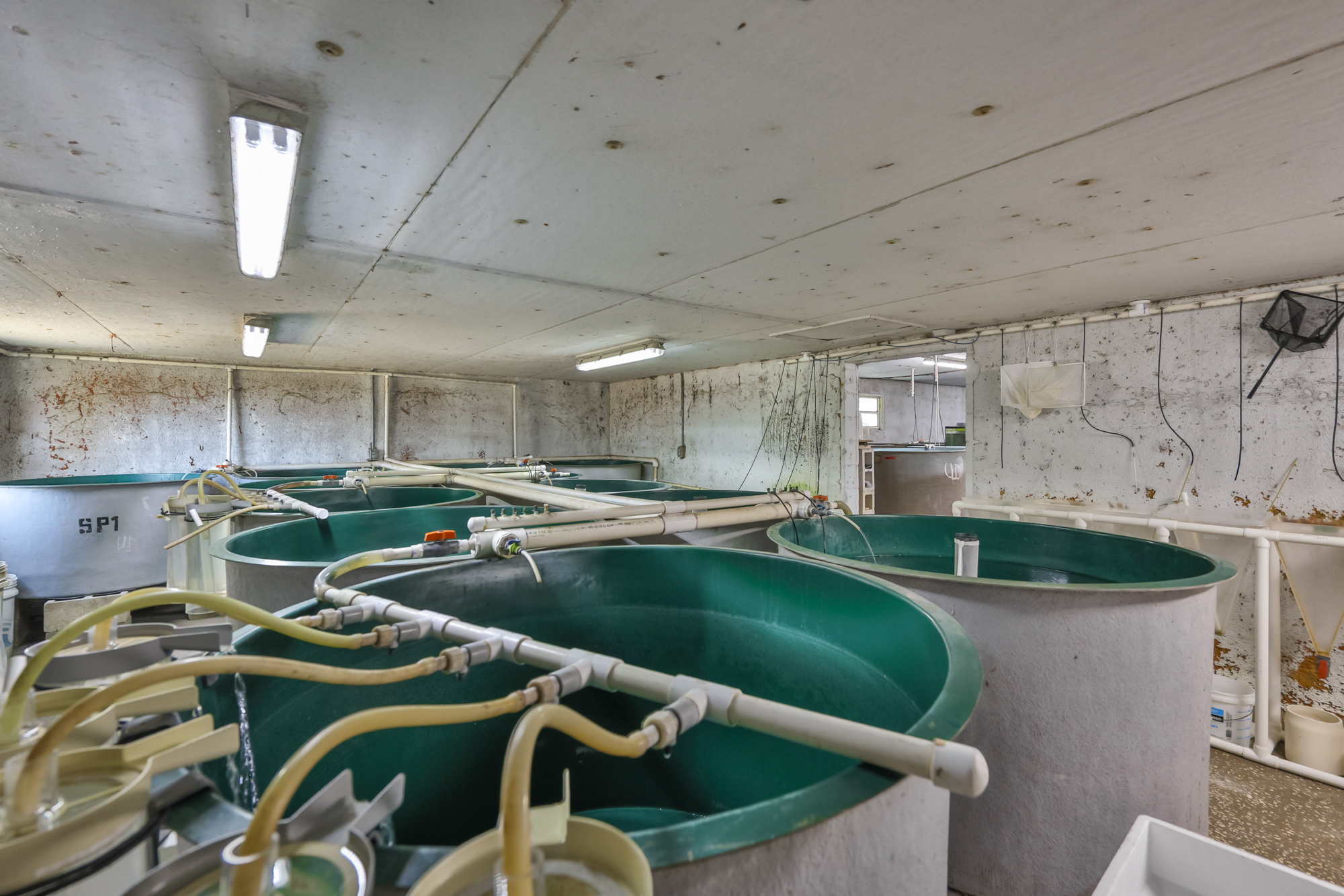 Wimauma, Florida, 33598, United States, 3 Bedrooms Bedrooms, ,2 BathroomsBathrooms,Residential,For Sale,2016610