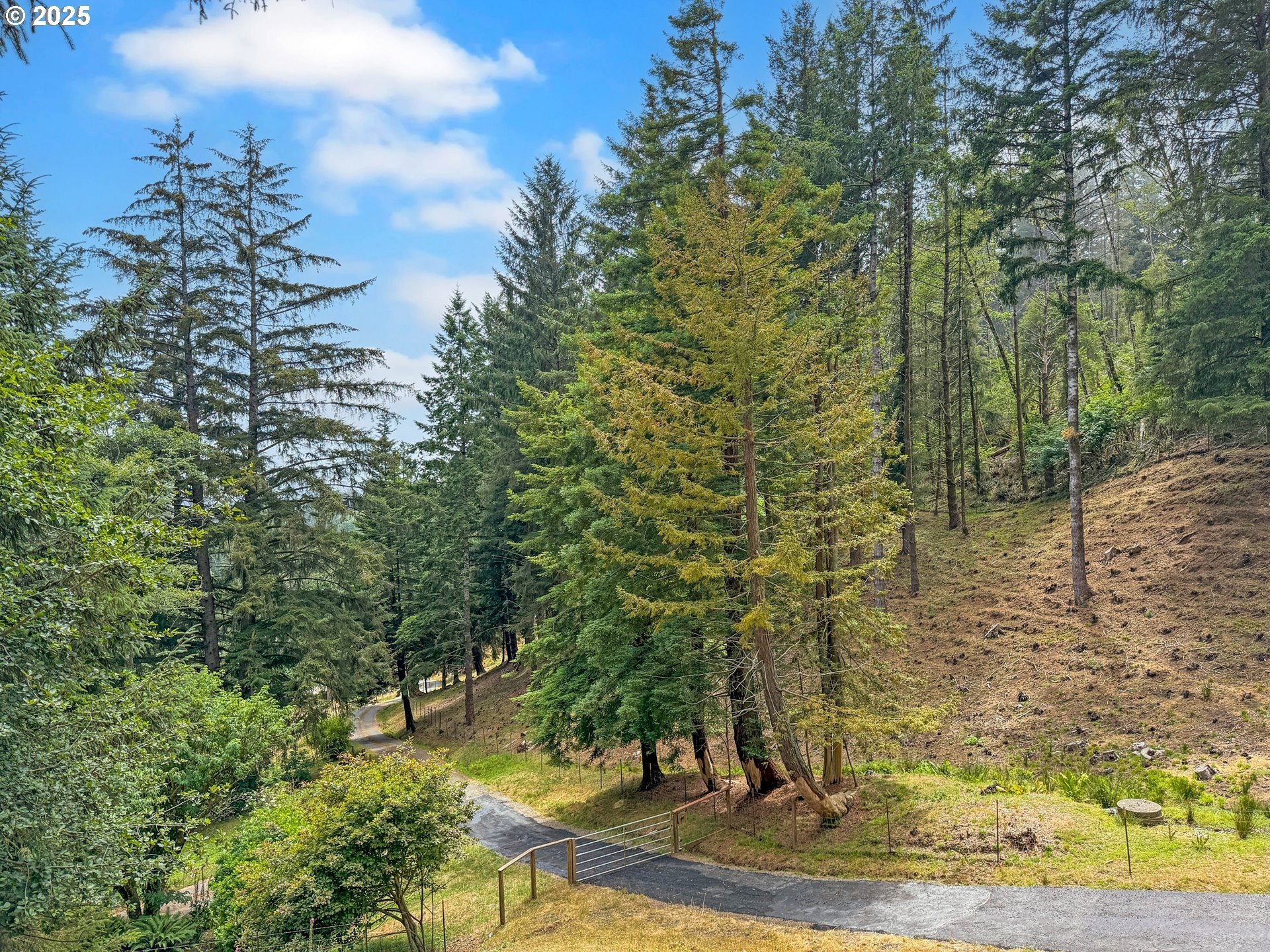 Brookings, Oregon, 97415, United States, 4 Bedrooms Bedrooms, ,2 BathroomsBathrooms,Residential,For Sale,1982751