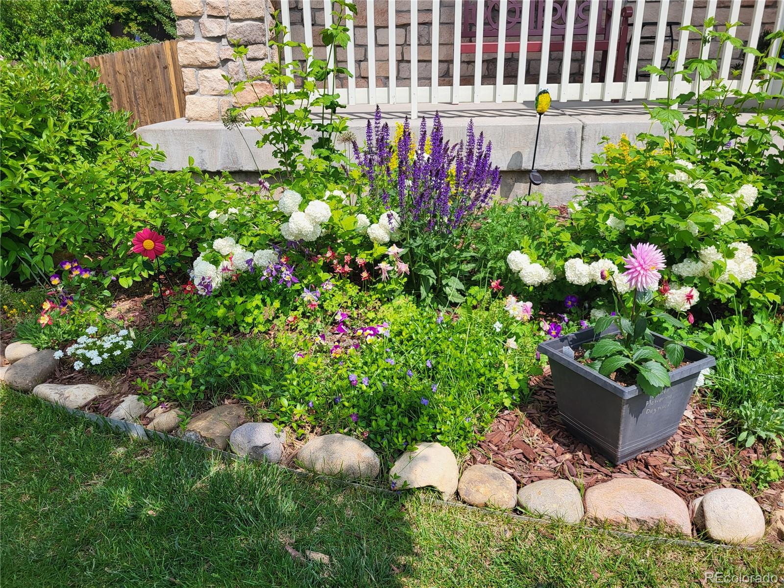 Aurora, Colorado, 80013, United States, 5 Bedrooms Bedrooms, ,3 BathroomsBathrooms,Residential,For Sale,2001899