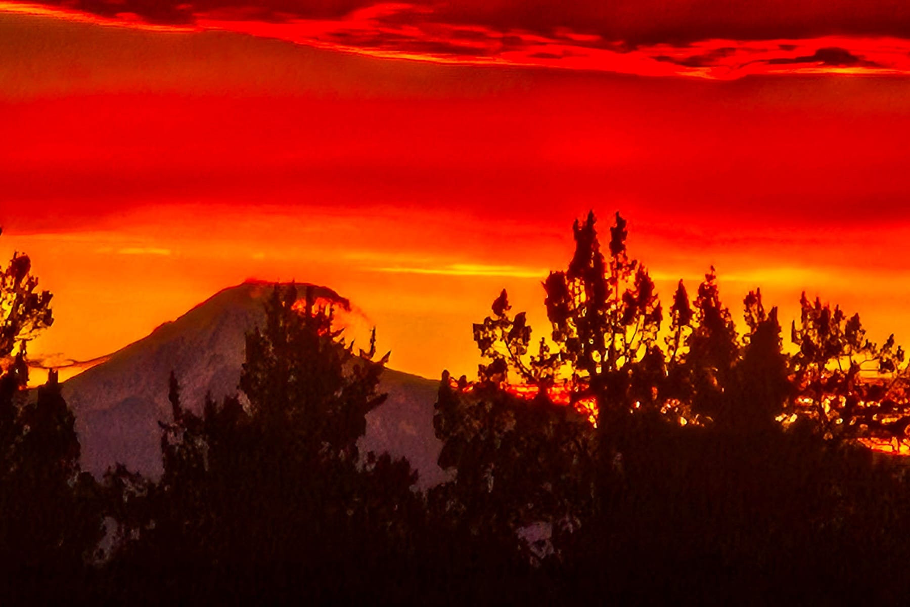 3660 SW Parrish Lane Powell Butte, OR 97753 - 物件實景