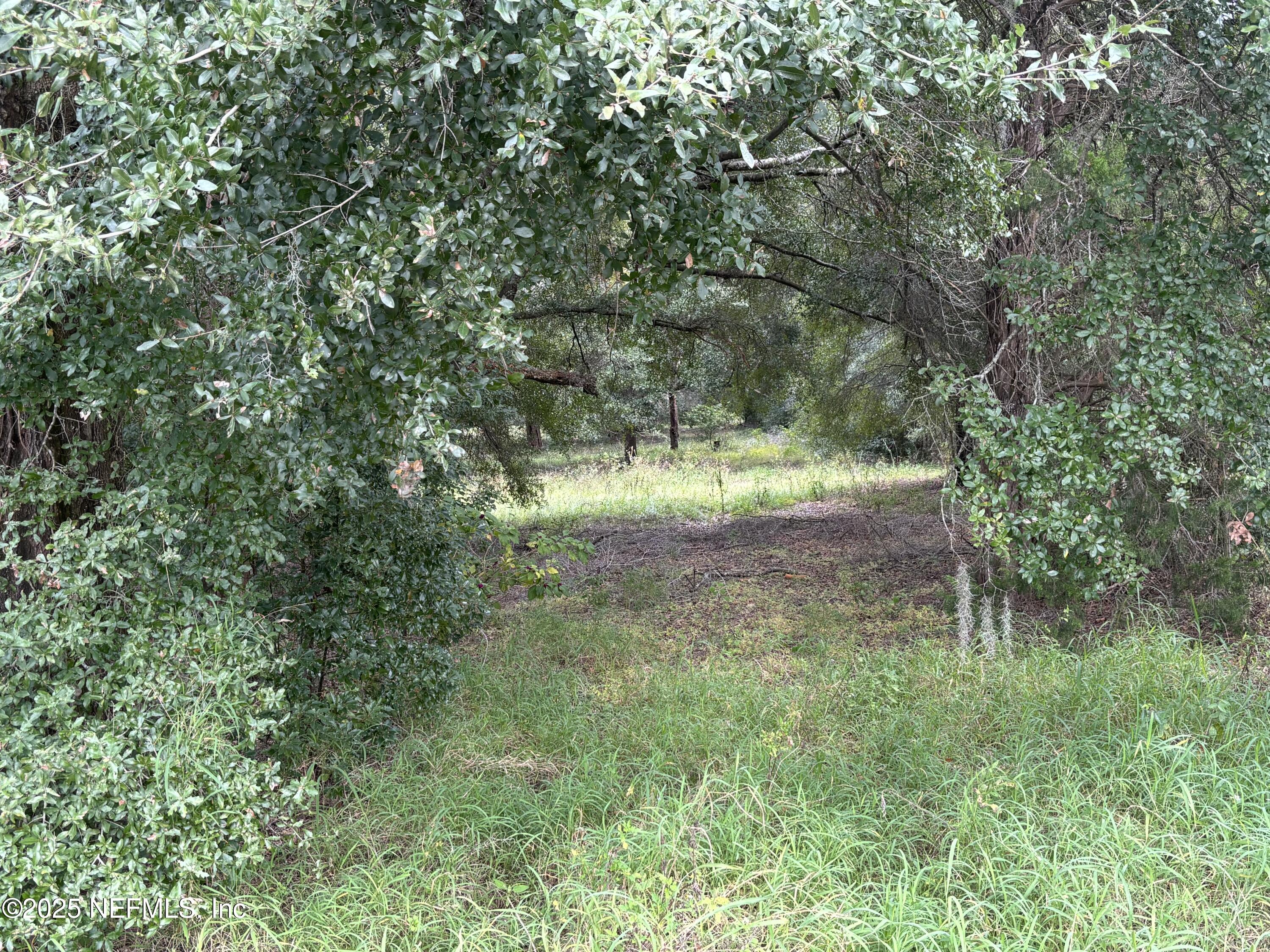 Apopka, Florida, 32712, United States, ,Land,For Sale,2003118