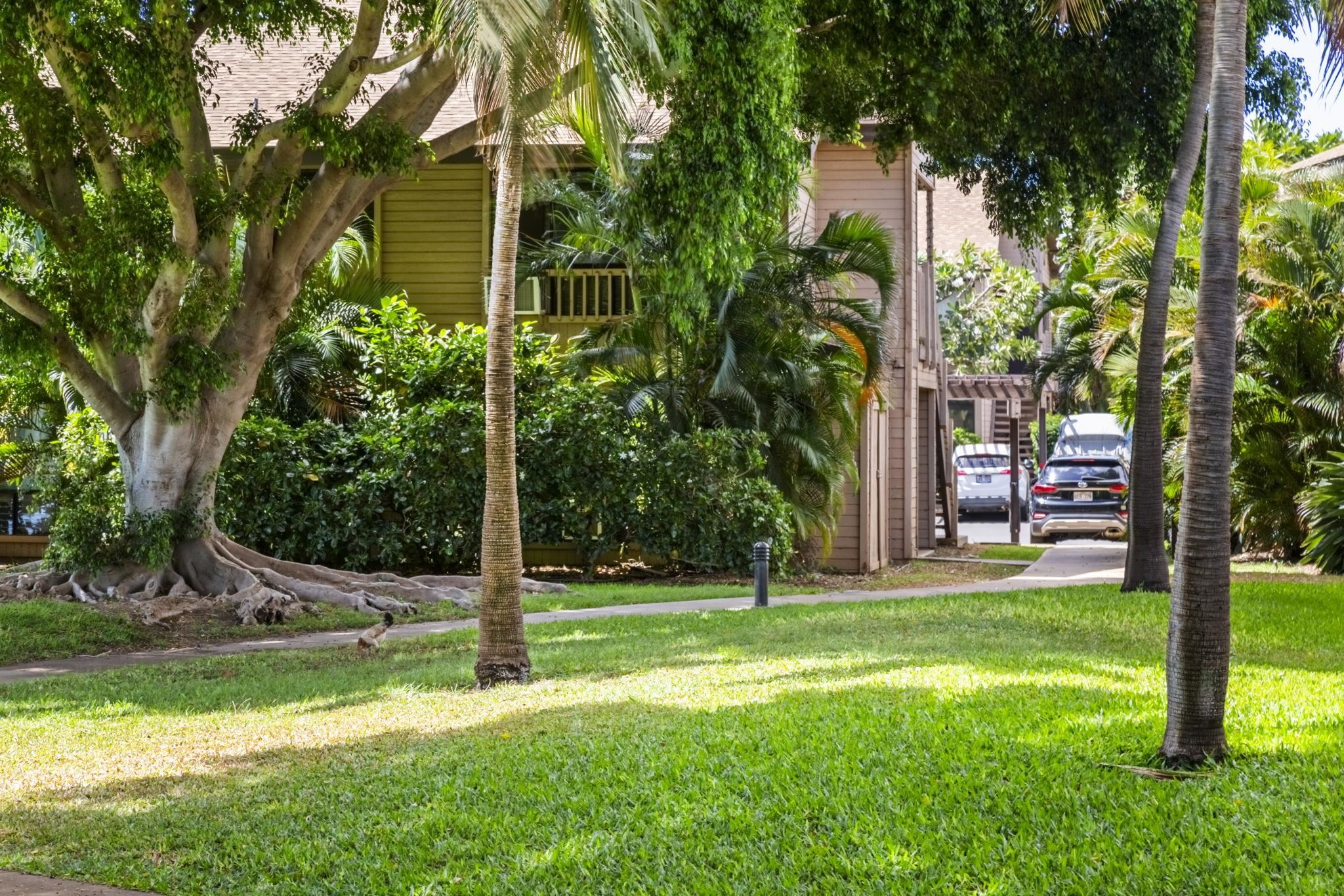 Kihei, Hawaii, 96753, United States, 3 Bedrooms Bedrooms, ,2 BathroomsBathrooms,Residential,For Sale,1901251