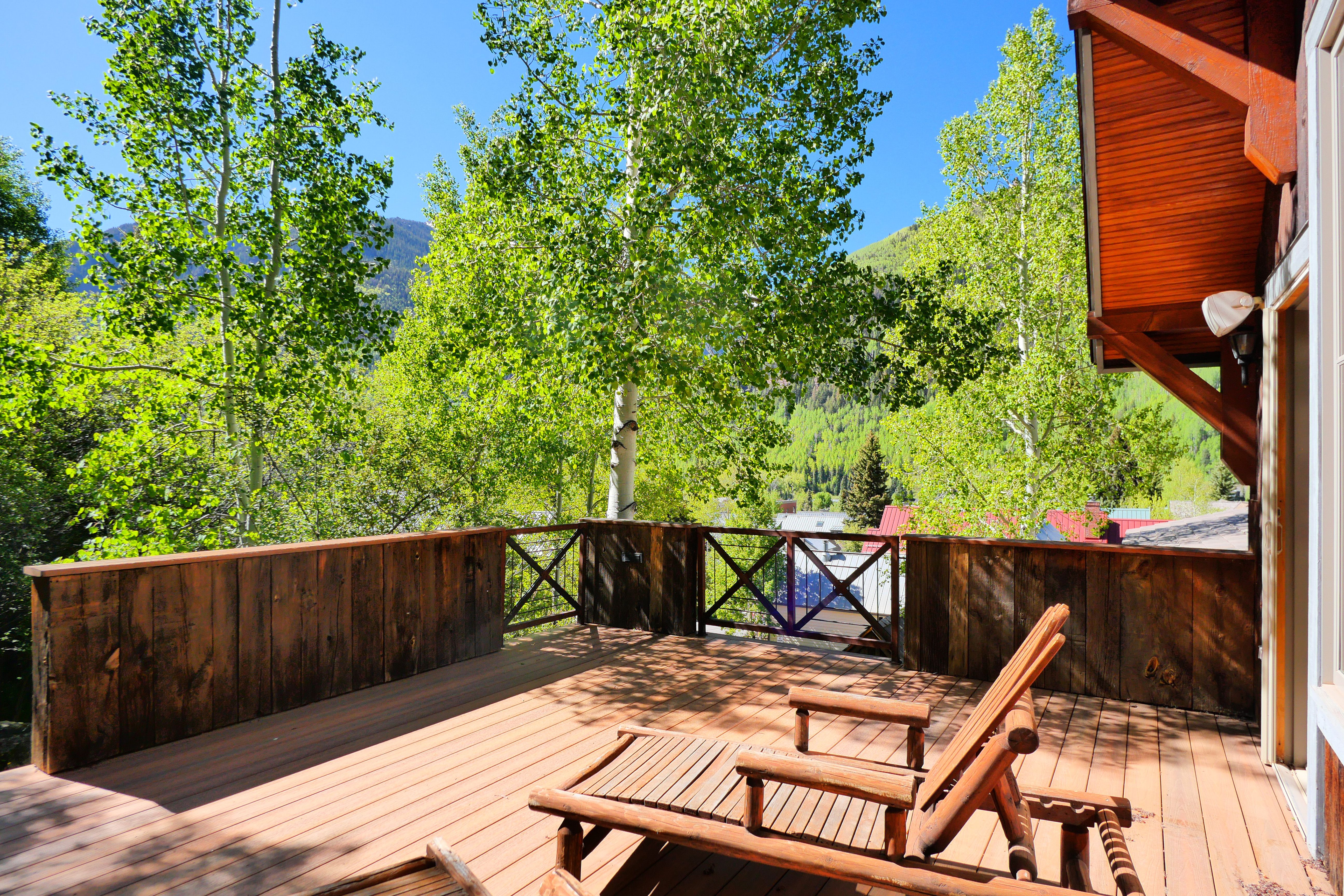  One of a Kind Gem in Town of Telluride - 物件實景