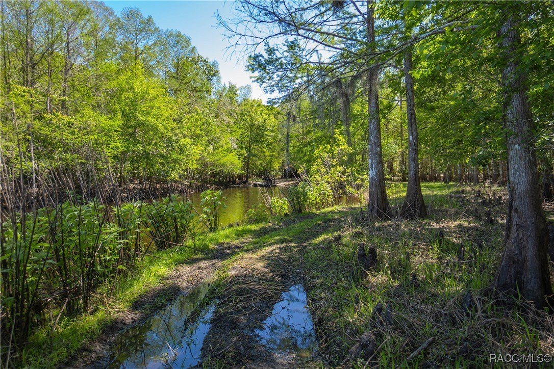Inverness, Florida, 34450, United States, 3 Bedrooms Bedrooms, ,2 BathroomsBathrooms,Residential,For Sale,1881074