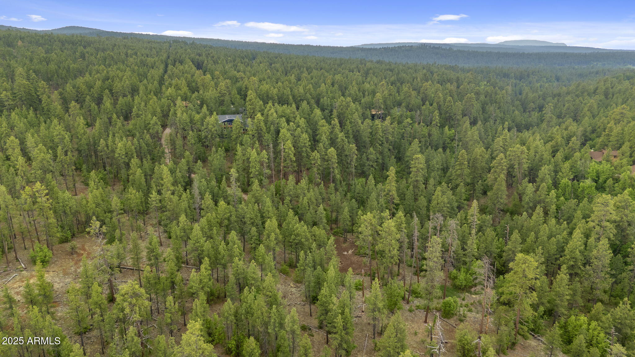 Munds Park, Arizona, 86017, United States, ,Land,For Sale,1865500