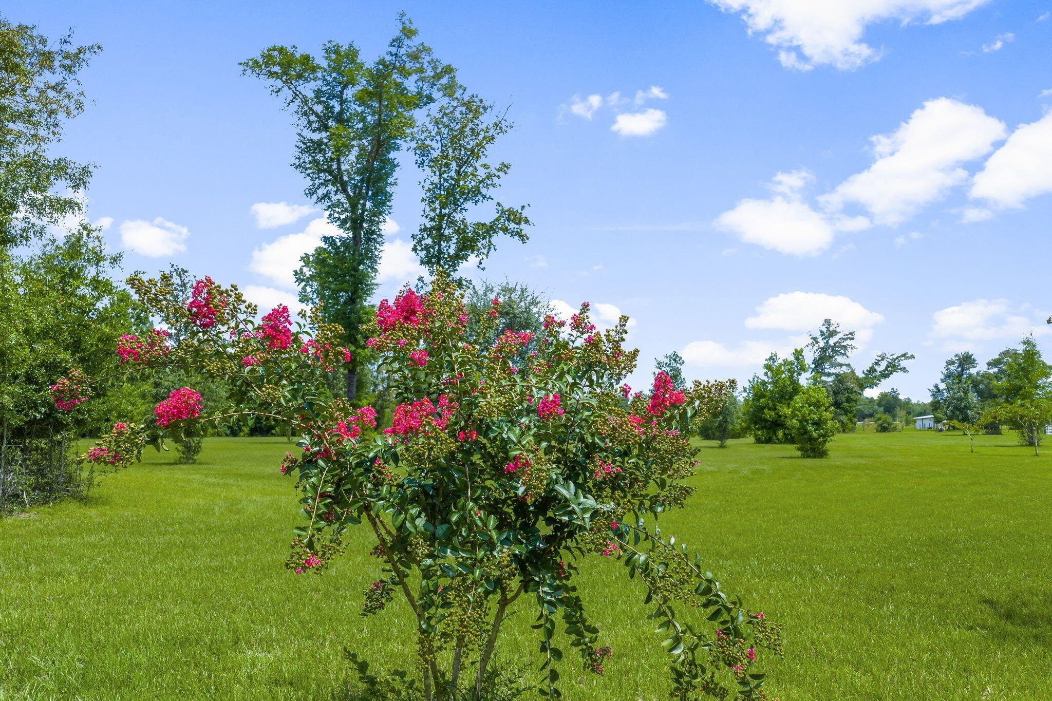 Youngstown, Florida, 32466, United States, 6 Bedrooms Bedrooms, ,6 BathroomsBathrooms,Residential,For Sale,1981831