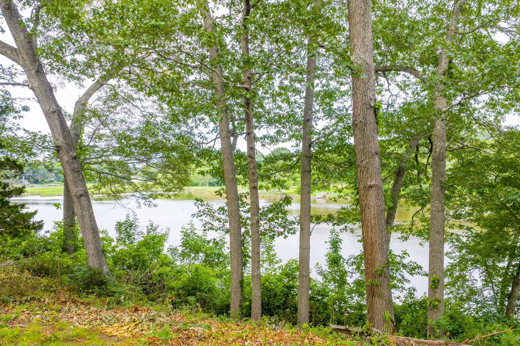  Extremely Rare Peaceful Waterfront Lot Available - 物件實景