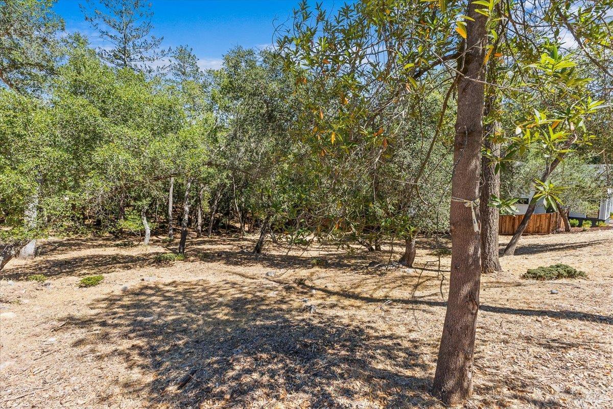 Santa Rosa, California, 95404, United States, ,Land,For Sale,1979188