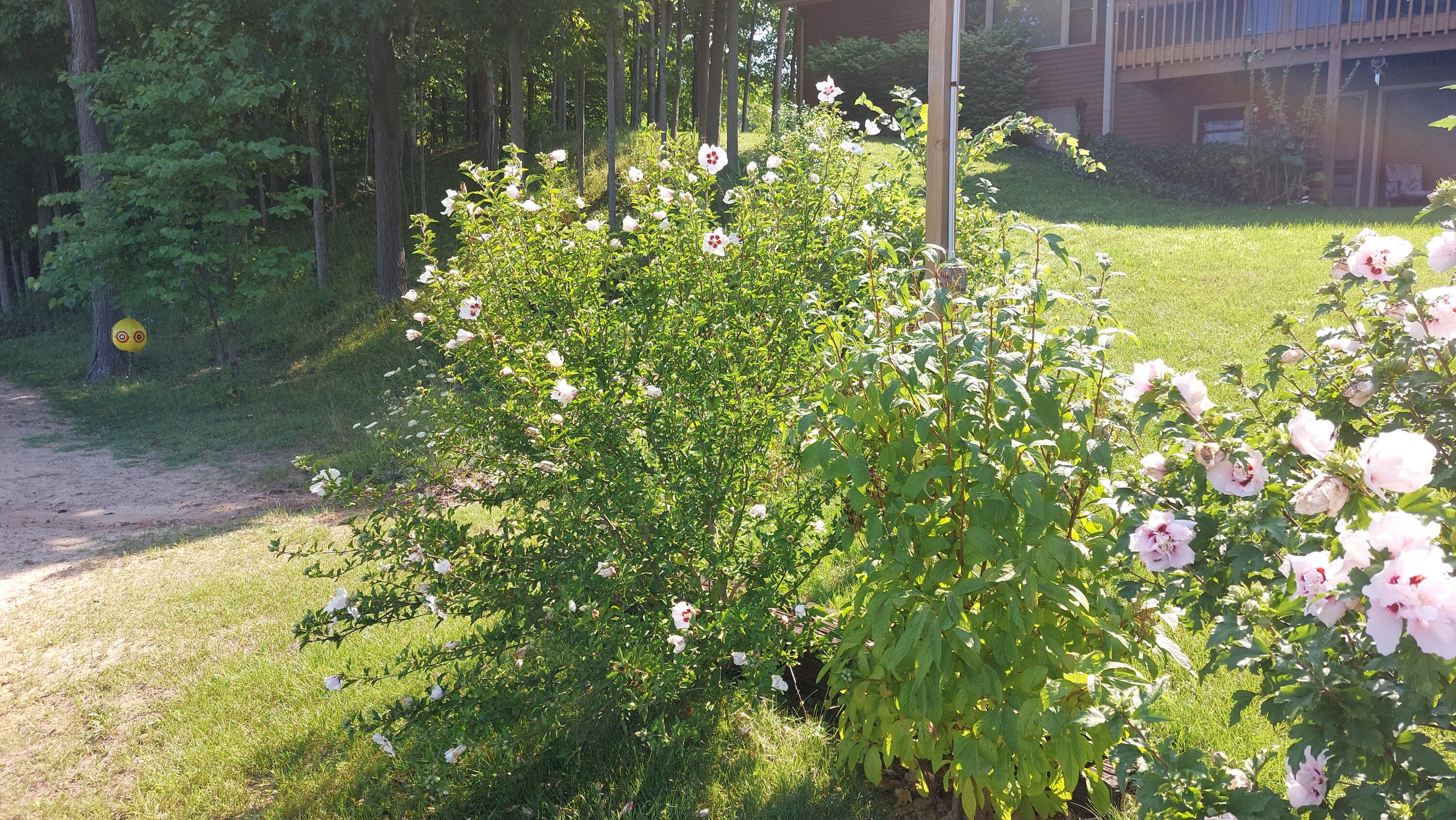 Dowagiac, Michigan, 49047, United States, 3 Bedrooms Bedrooms, ,2 BathroomsBathrooms,Residential,For Sale,1909140