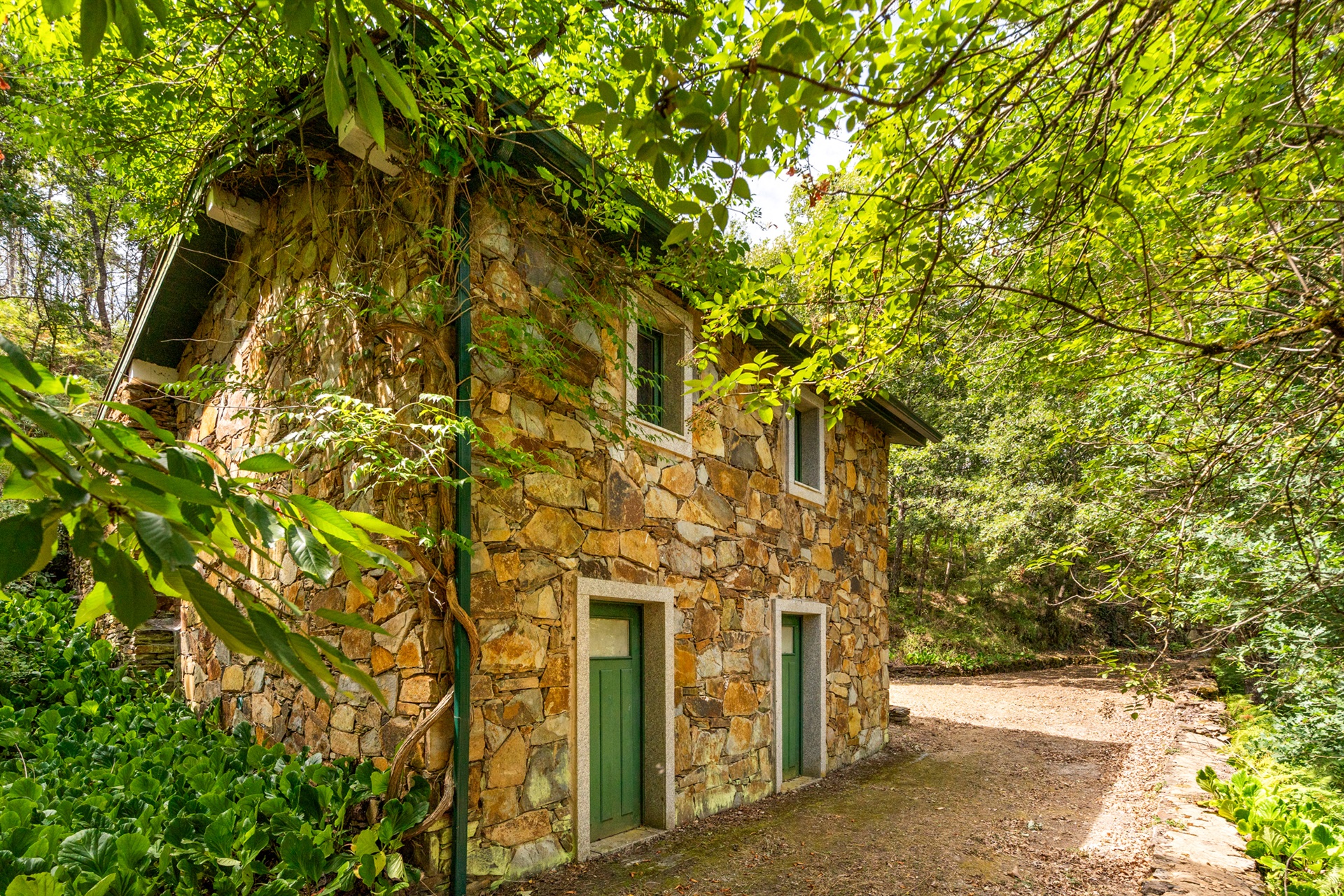  Farm, 5 bedrooms, for Sale - 物件實景