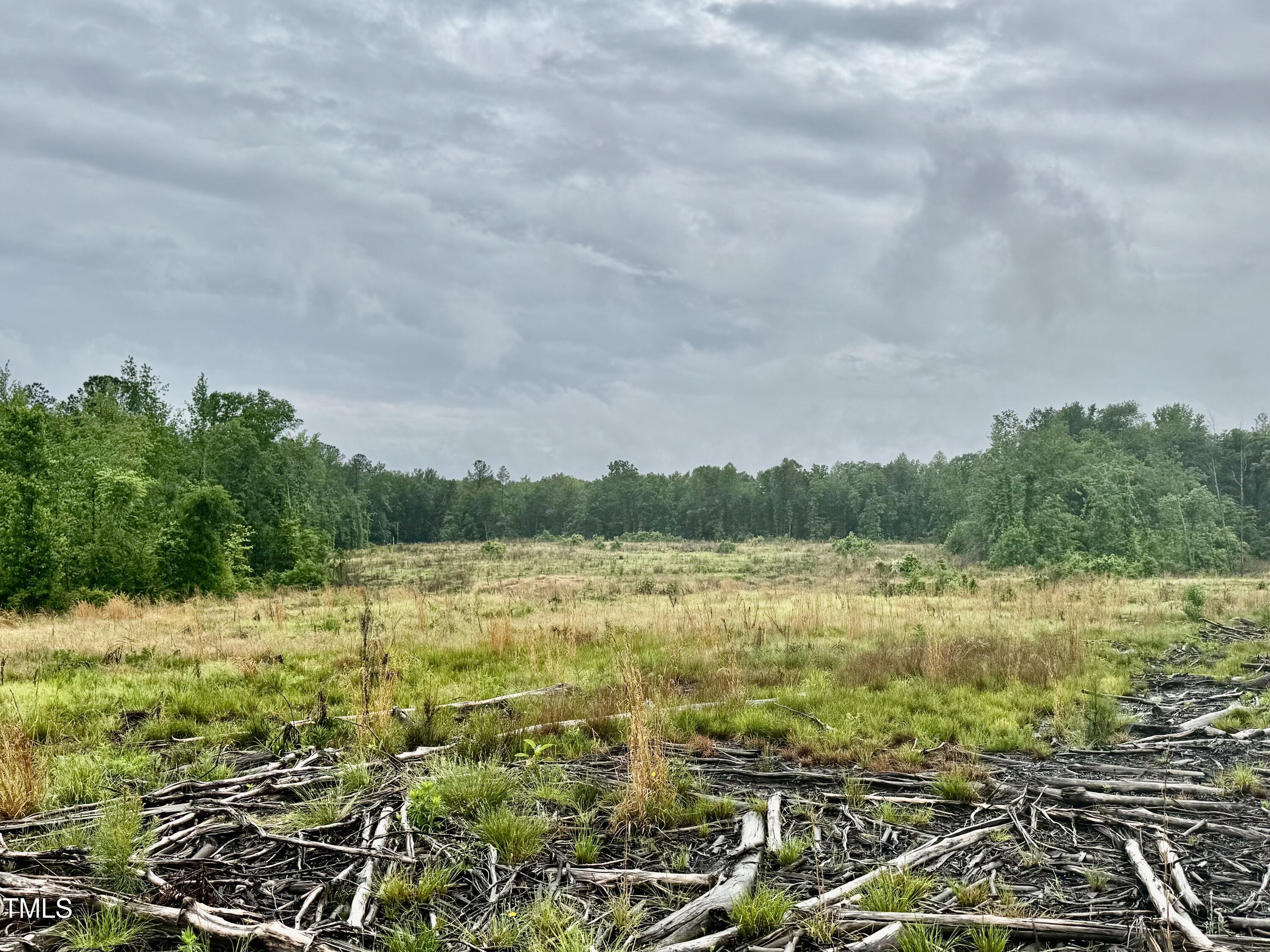 Murfreesboro, North Carolina, 27855, United States, ,Land,For Sale,1796477