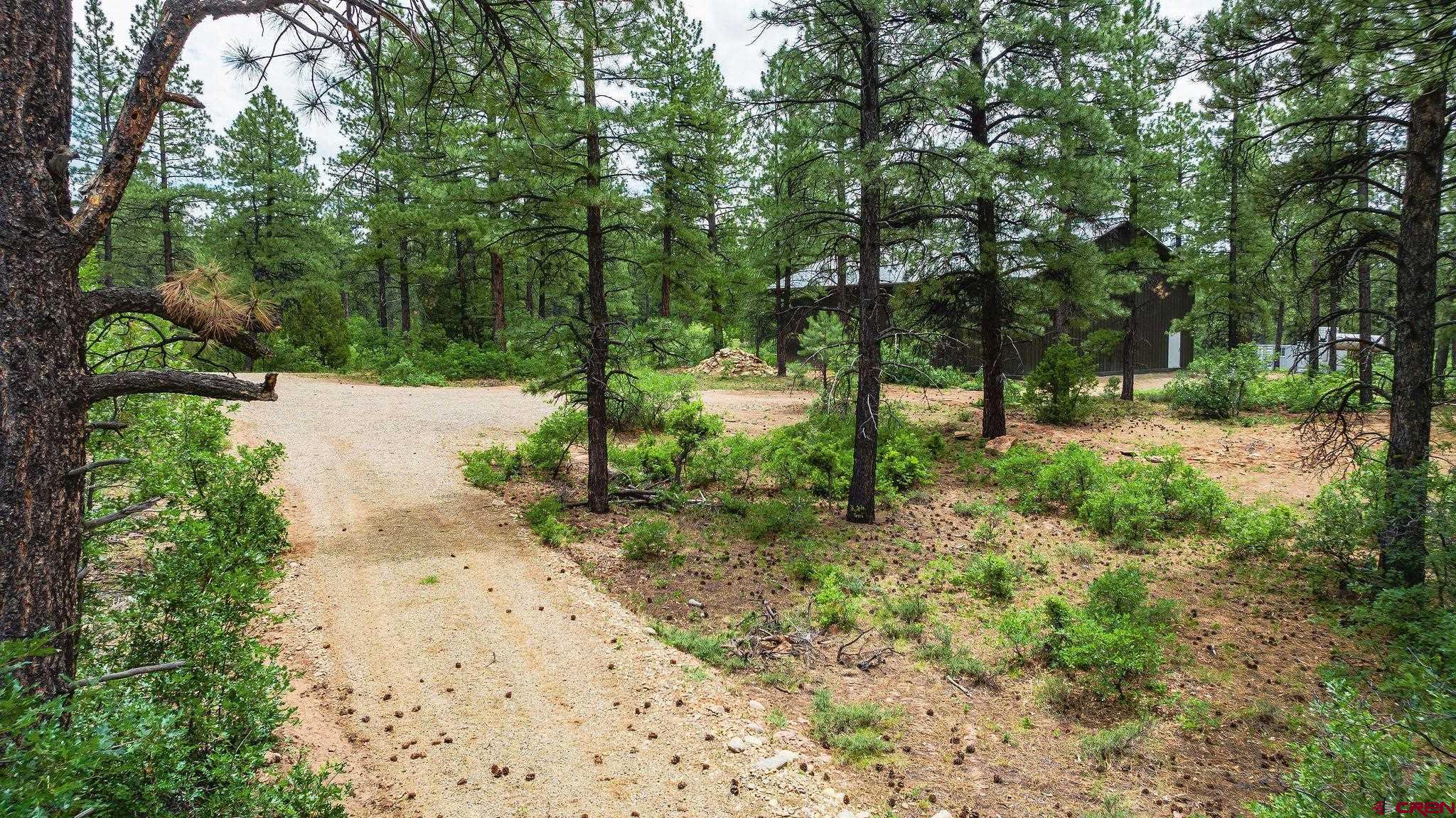 Mancos, Colorado, 81328, United States, 3 Bedrooms Bedrooms, ,4 BathroomsBathrooms,Residential,For Sale,1938340