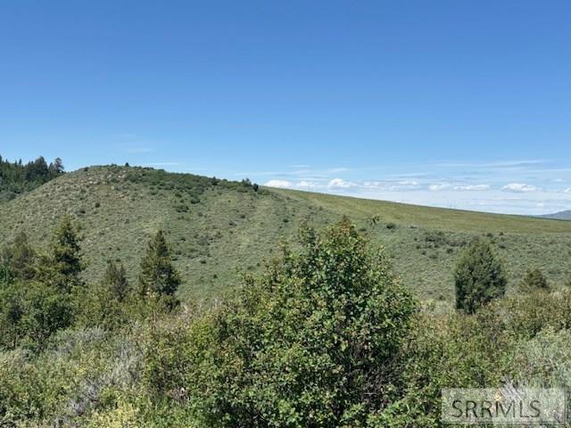 RIRIE, Idaho, 83443, United States, ,Residential,For Sale,1974893