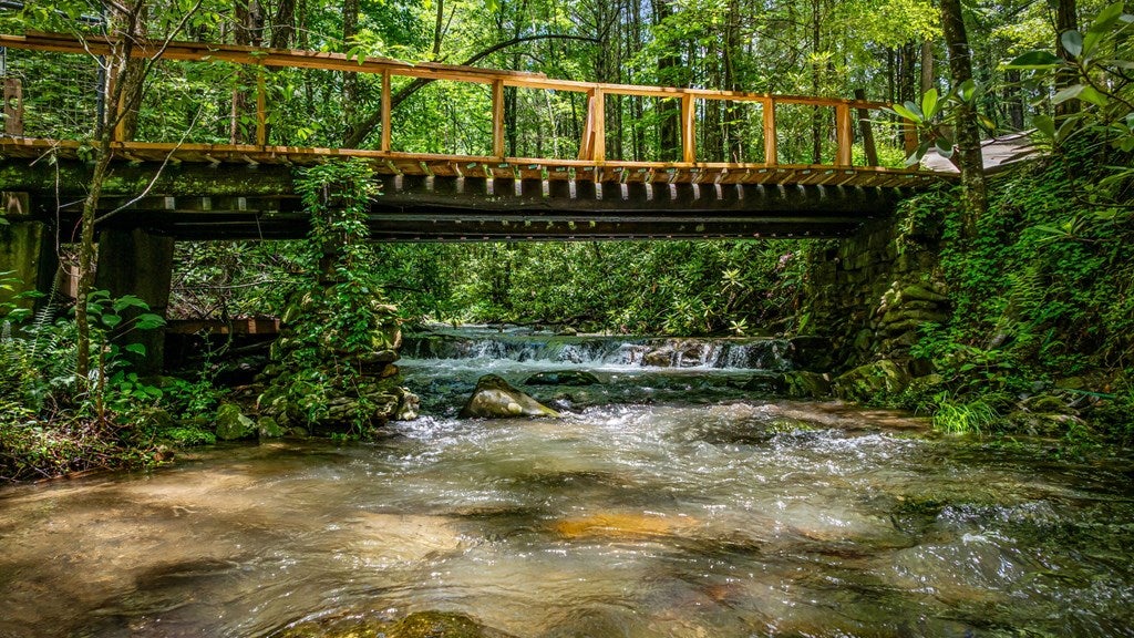 Ellijay, Georgia, 30540, United States, 5 Bedrooms Bedrooms, ,5 BathroomsBathrooms,Residential,For Sale,1868155