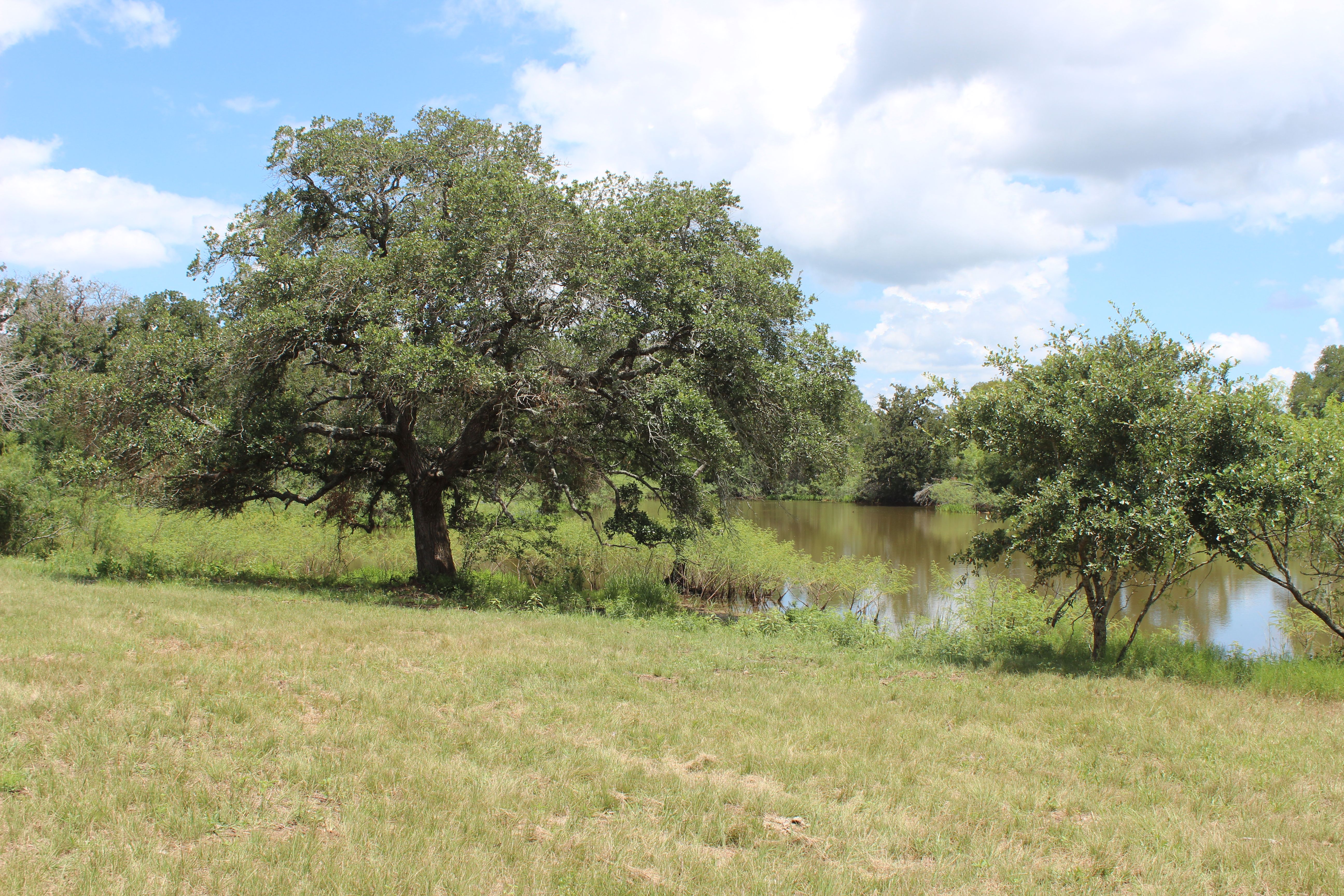  Buck Branch Ranch - 物件實景