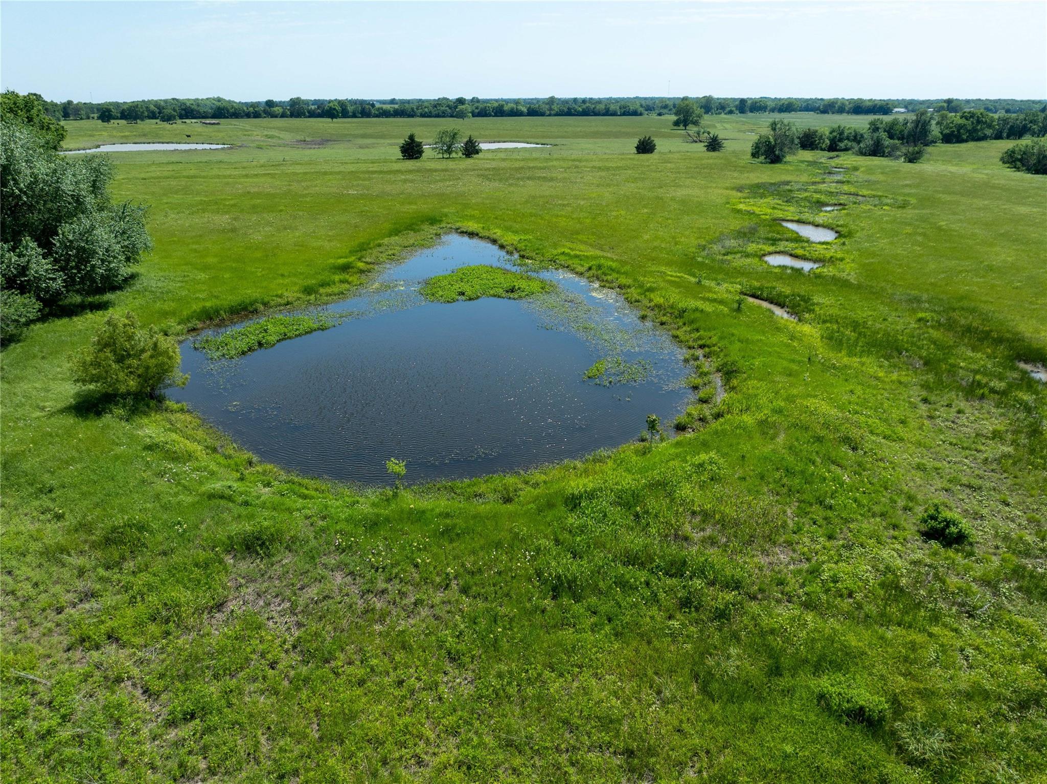 Blossom, Texas, 75416, United States, ,Residential,For Sale,1863967