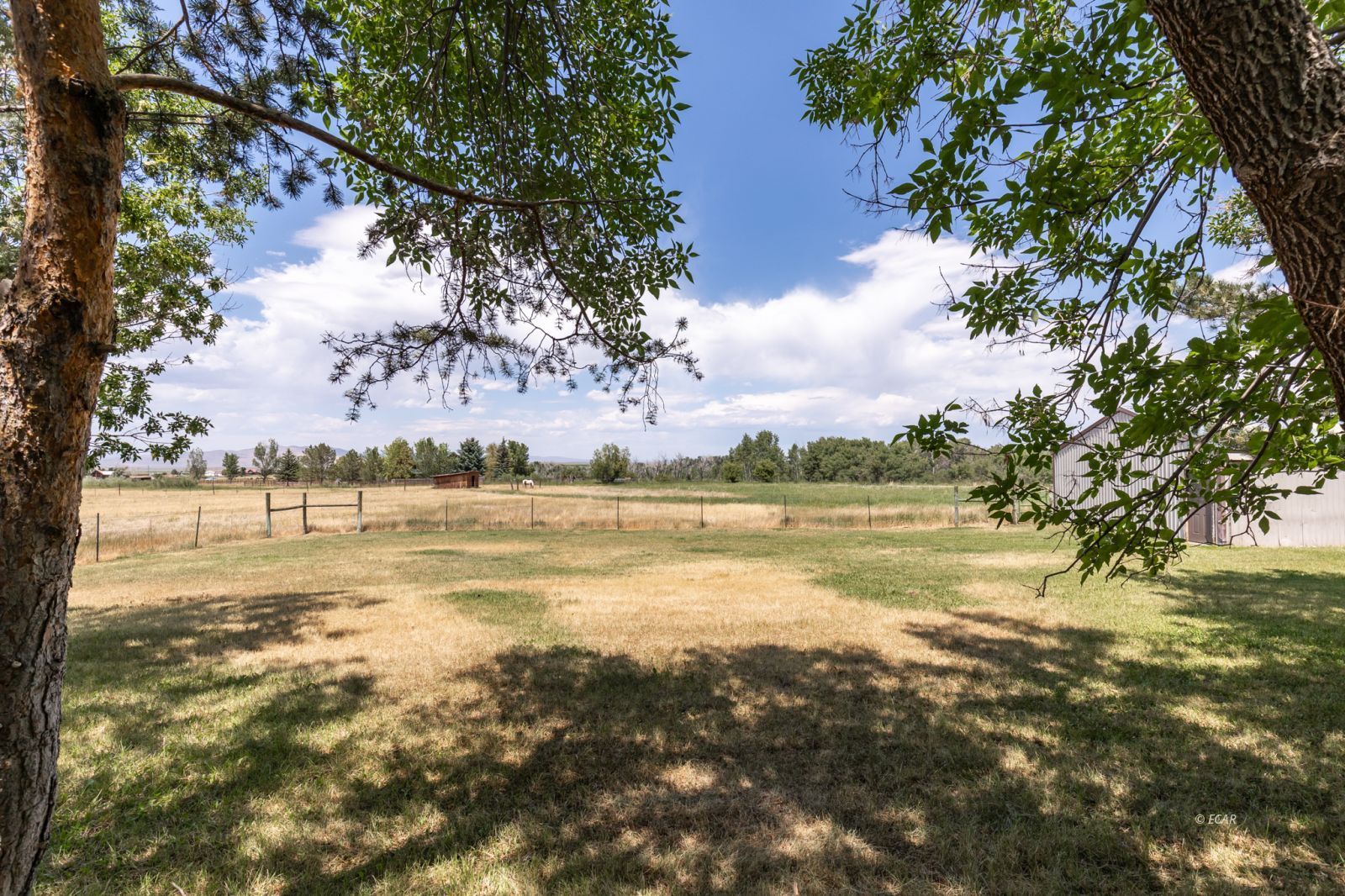 Lamoille, Nevada, 89828, United States, 4 Bedrooms Bedrooms, ,2 BathroomsBathrooms,Residential,For Sale,1897372