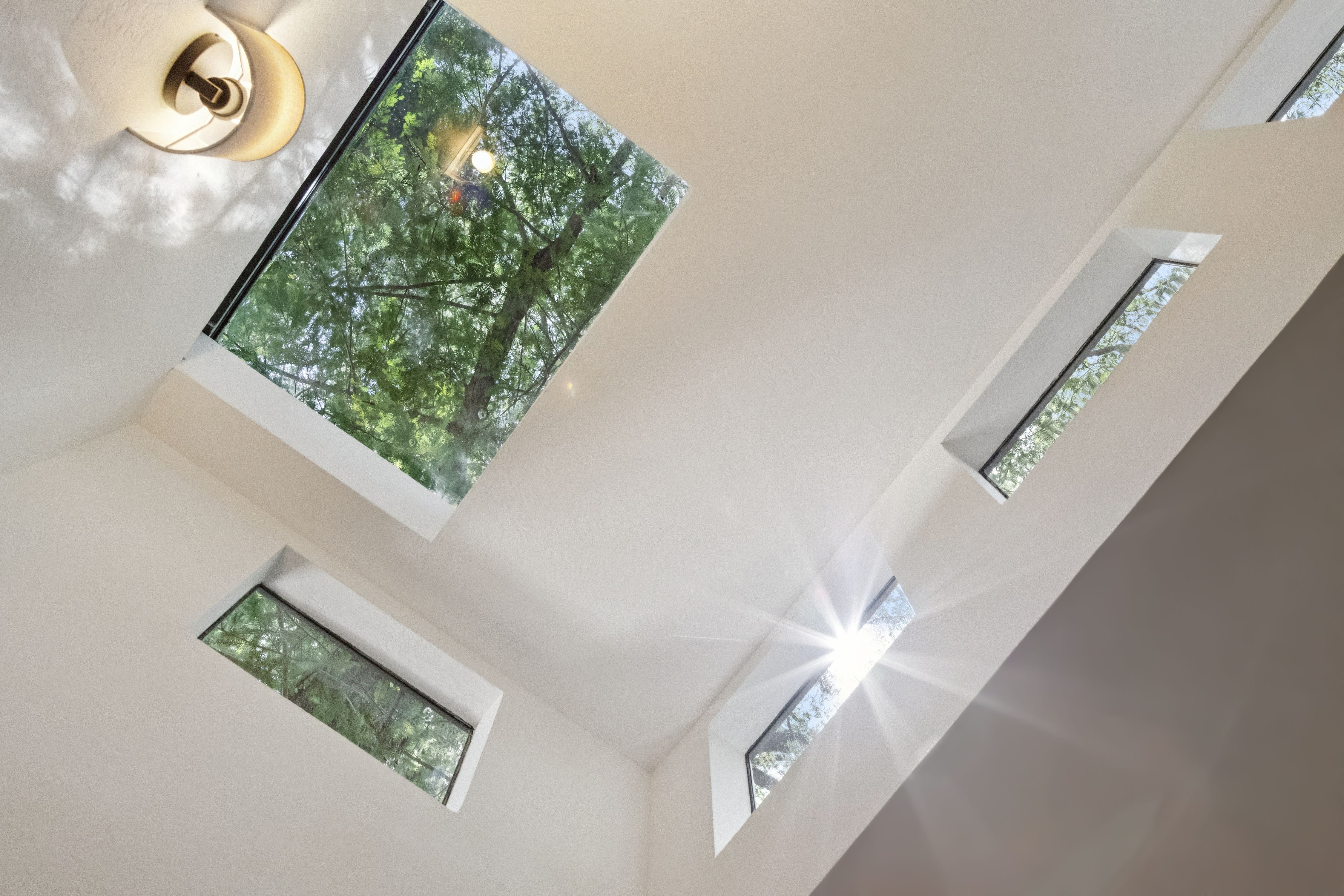  Magical Madrone Canyon Retreat - 物件實景