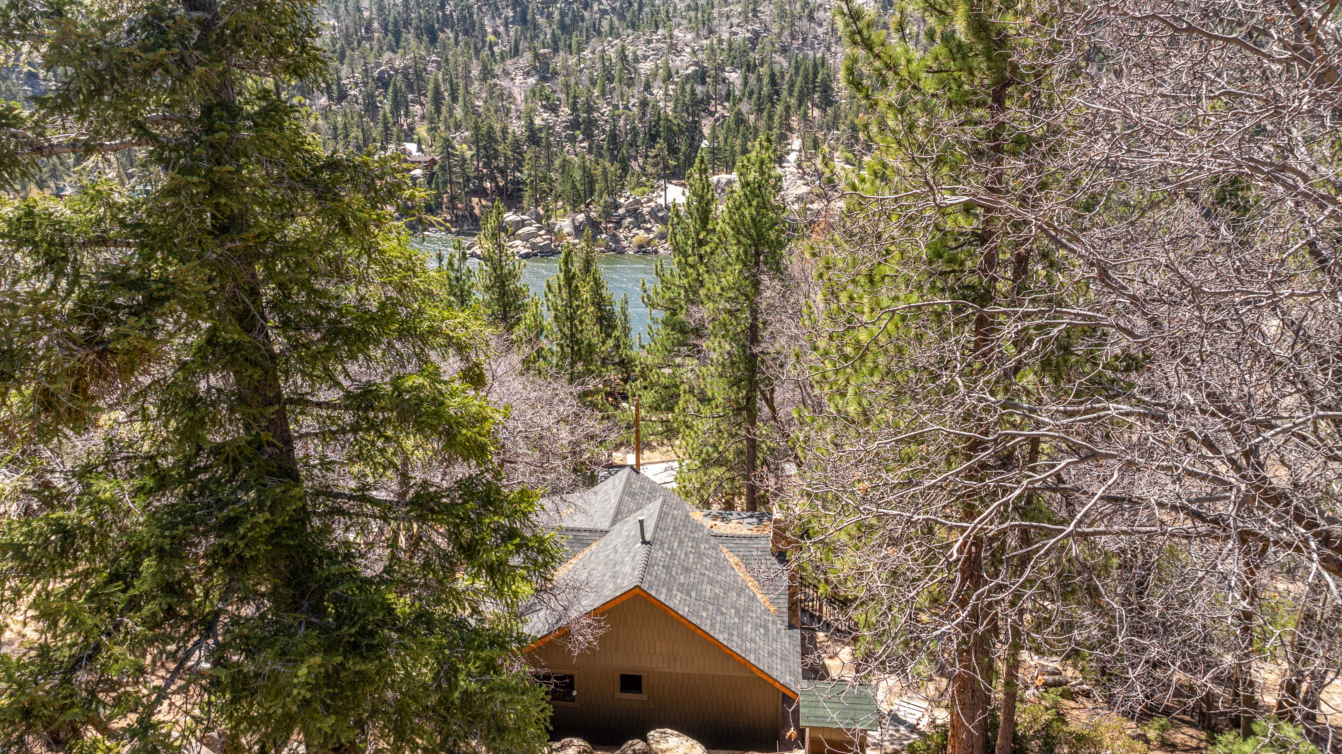  260 Nolan Trail, Fawnskin, CA 92333 - 物件實景