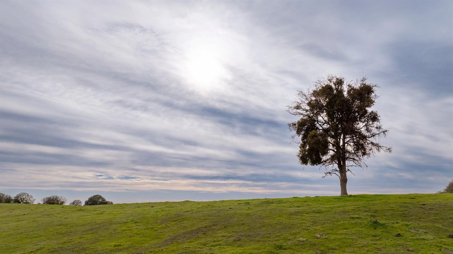 Burson, California, 95225, United States, ,Residential,For Sale,1880944