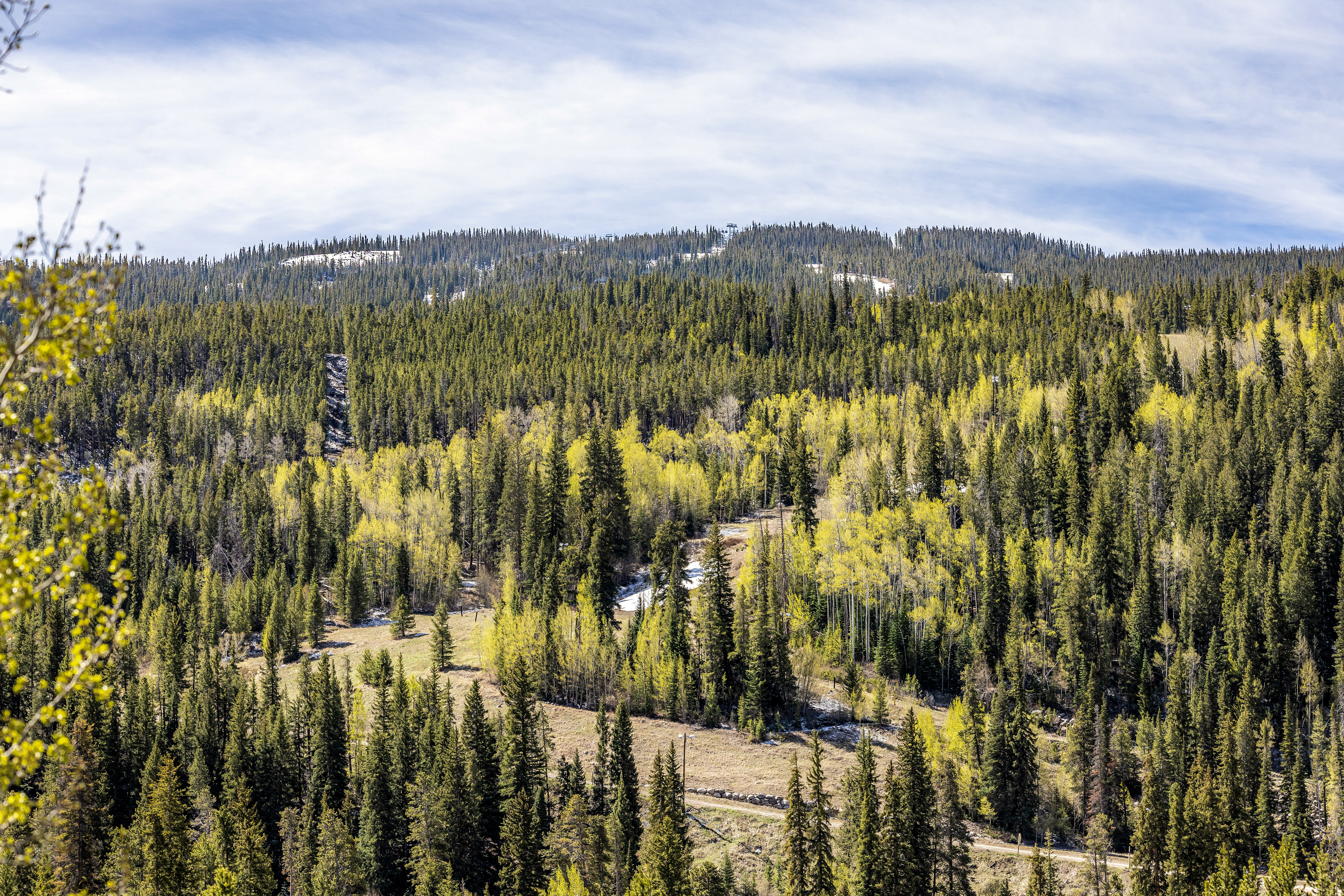  60 Oro Grande Drive, Keystone, CO, 80435 - 物件實景