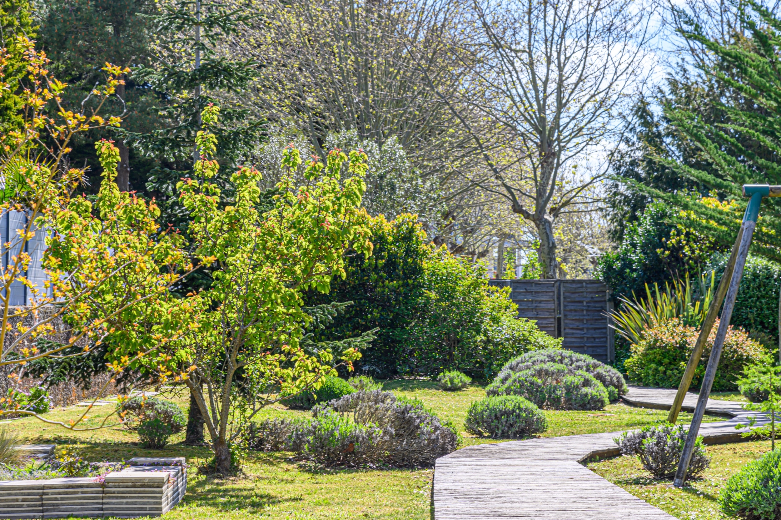  Maison - 物件實景