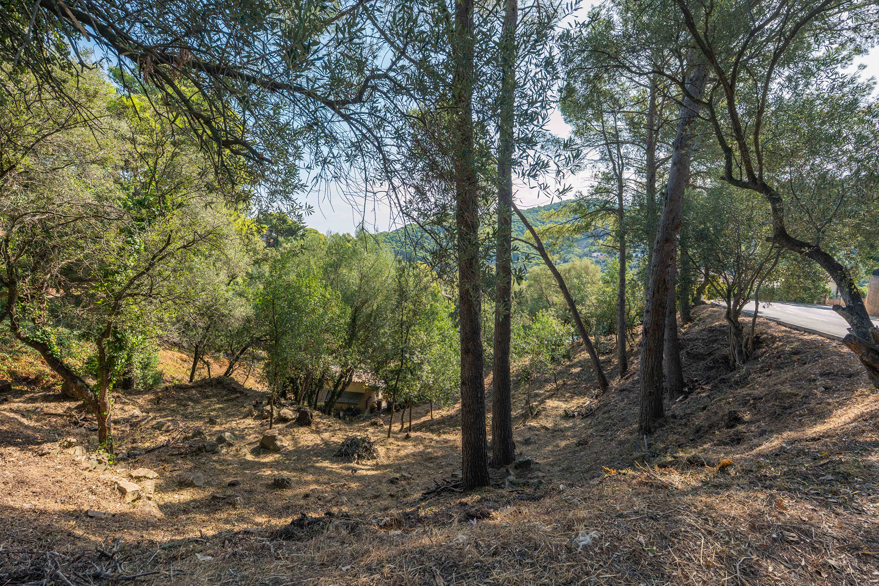  Good plot with a single-family home project in Sa Riera, Begur - 物件實景