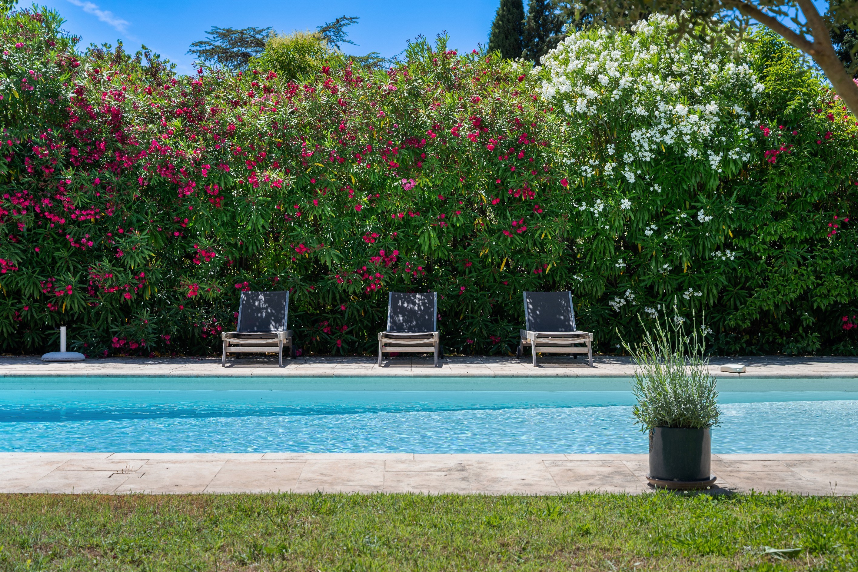  Villecroze – Elegant Village House with Exceptional Garden and Swimming Pool - 物件實景