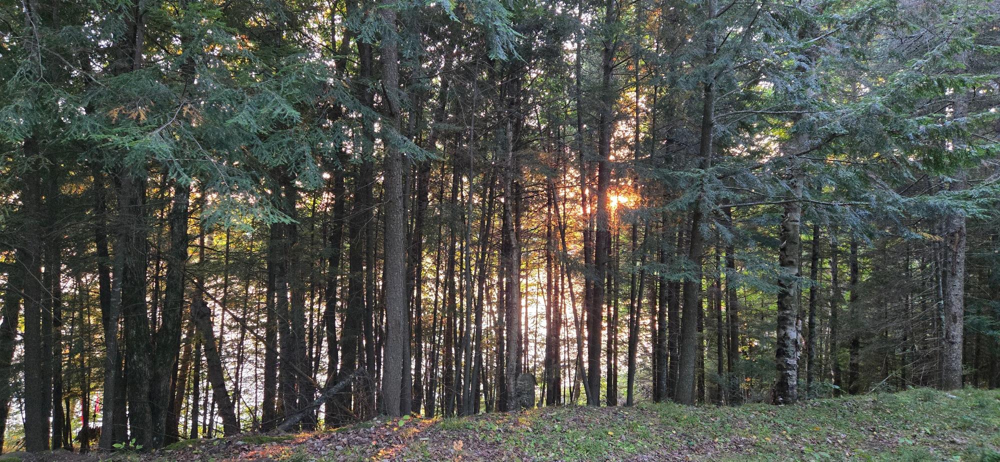 Presque Isle, Wisconsin, 54557, United States, ,Land,For Sale,1984076