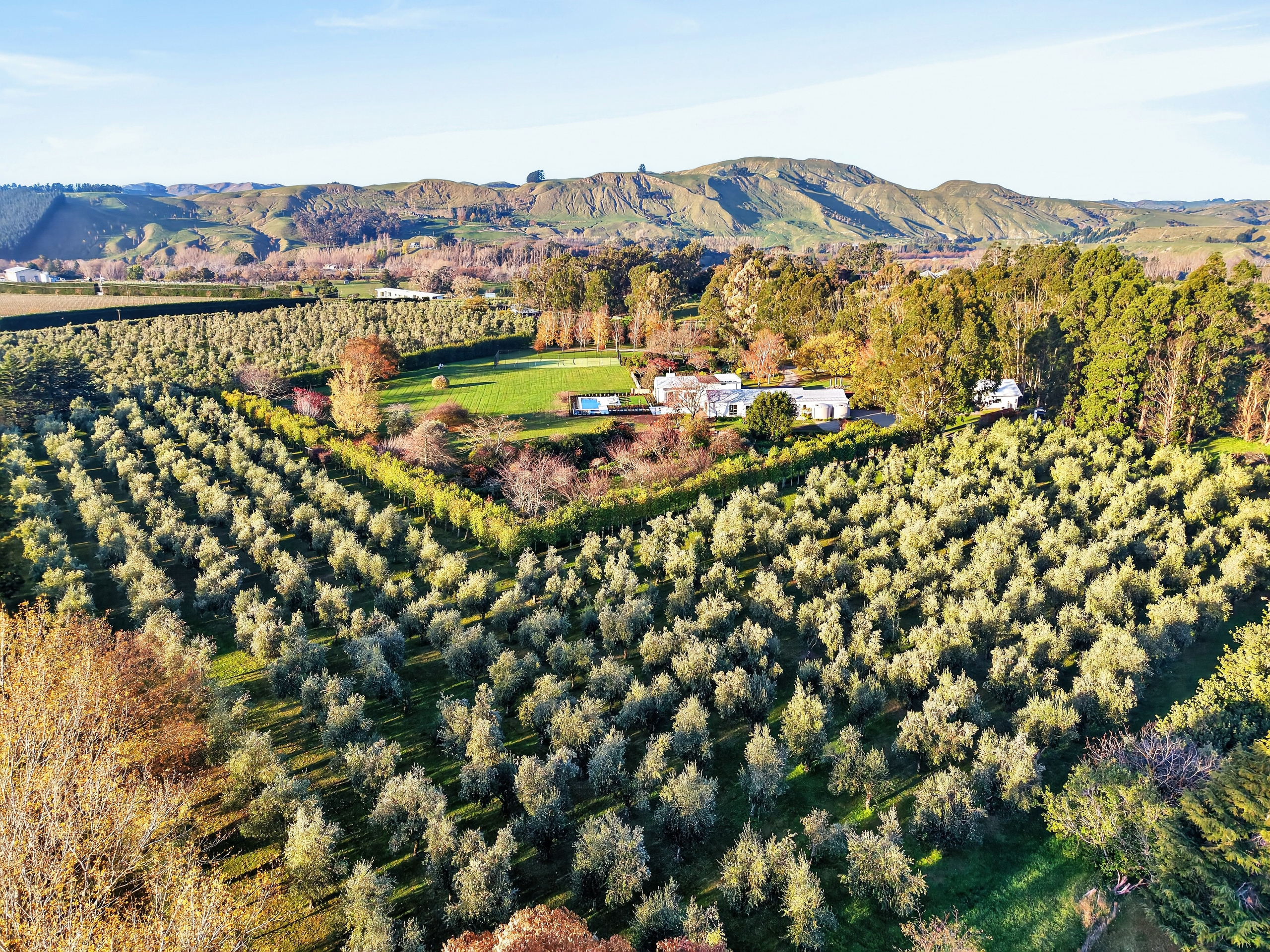  Atireira Estate - 物件實景