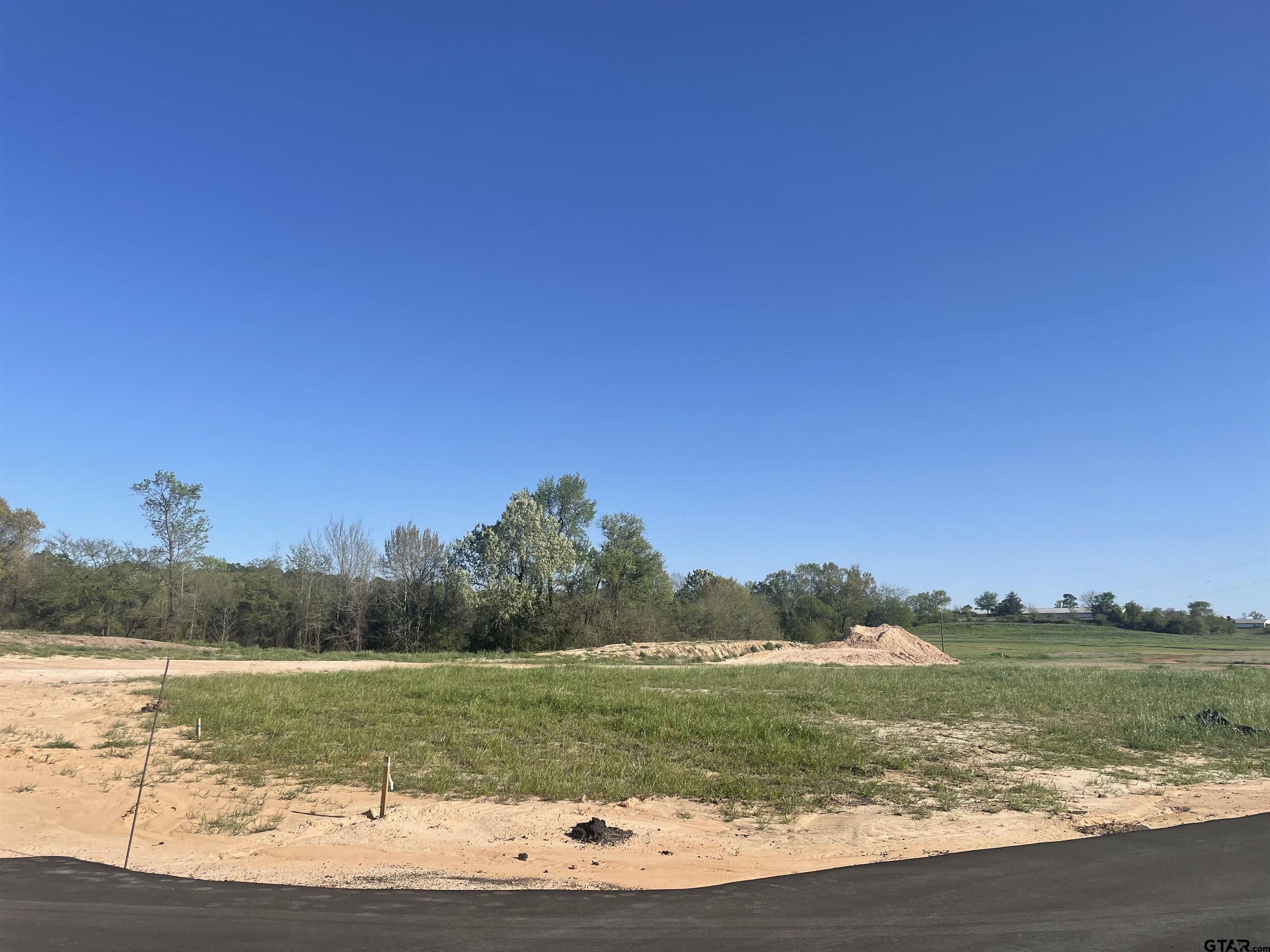 1666 CR 2332, Pittsburg, Texas, 75686, United States, ,Residential,For Sale,1666 CR 2332,1411949