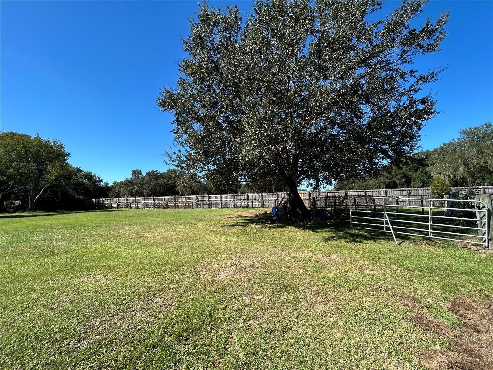 POLK CITY, Florida, 33868, United States, 5 Bedrooms Bedrooms, ,3 BathroomsBathrooms,Residential,For Sale,1984061