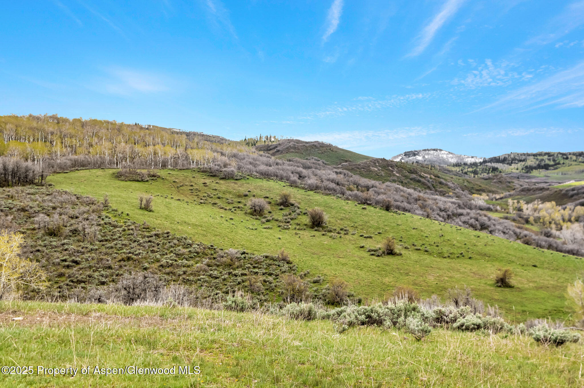Hayden, Colorado, 81639, United States, ,Residential,For Sale,1901288