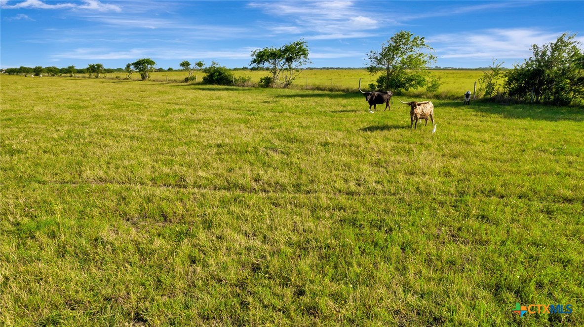 Port Lavaca, Texas, 77979, United States, ,Land,For Sale,1821016