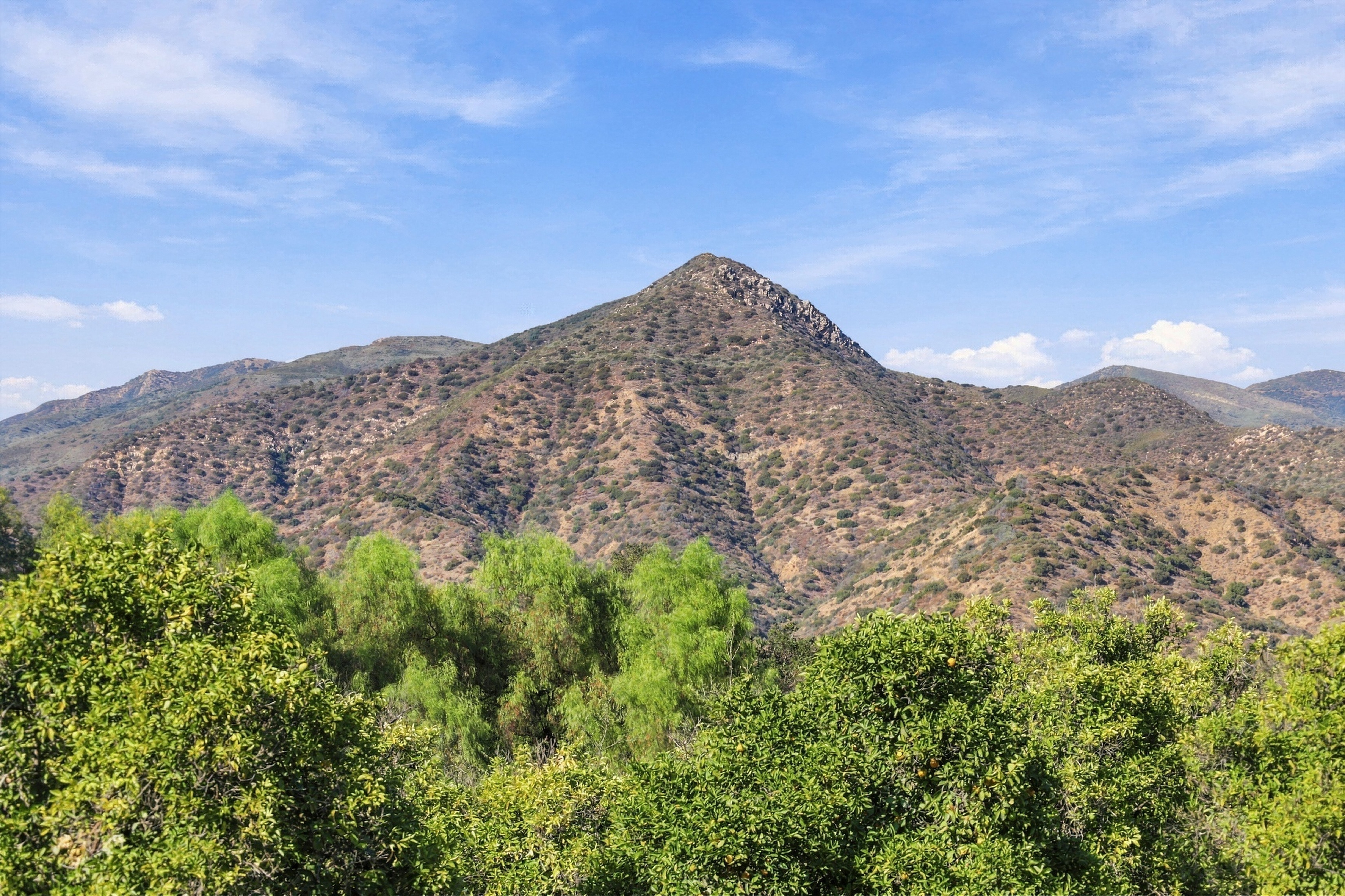  1108 McNell Road, Ojai, CA 93023 - 物件實景