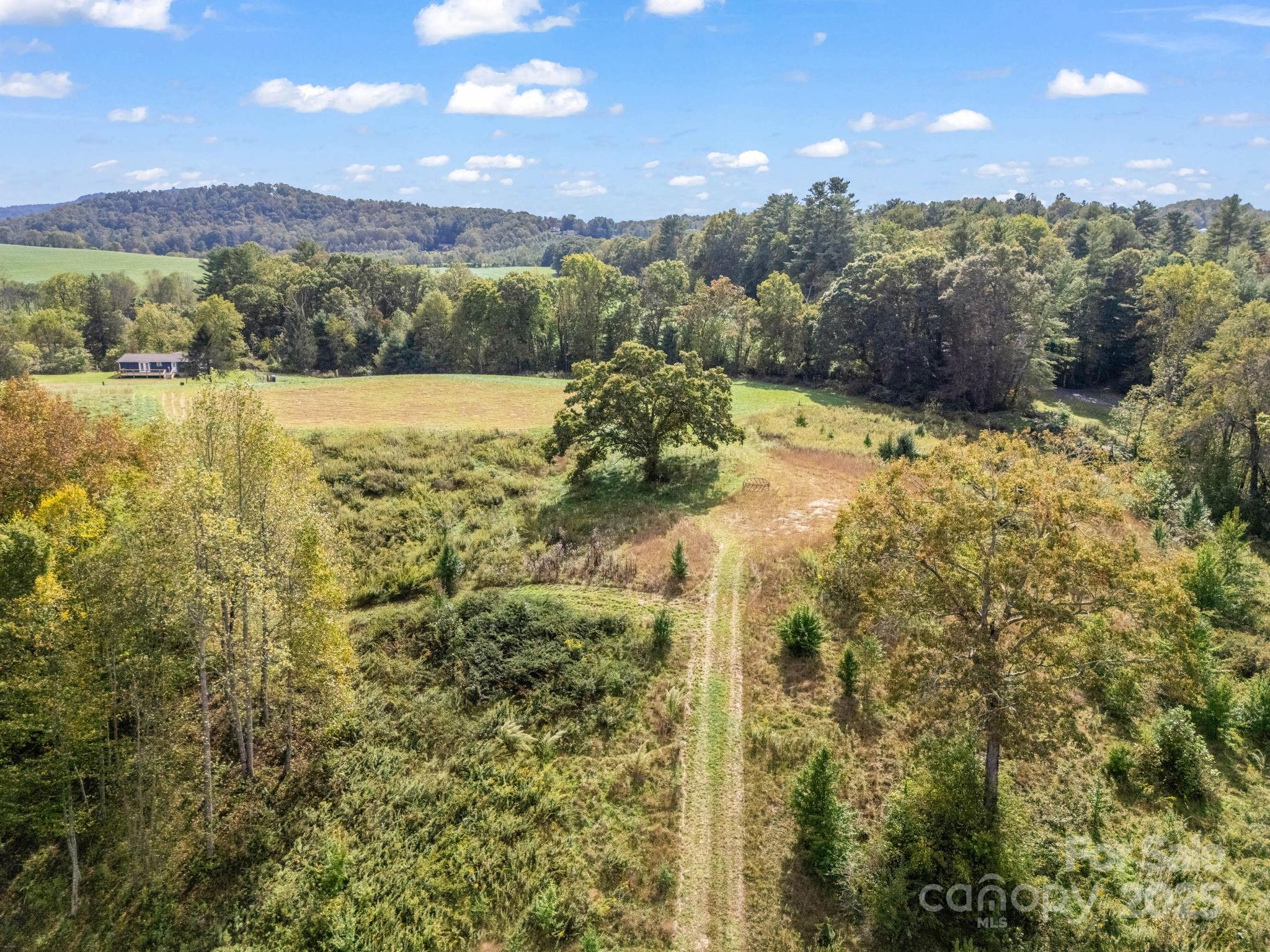 Mills River, North Carolina, 28759, United States, ,Land,For Sale,1975215