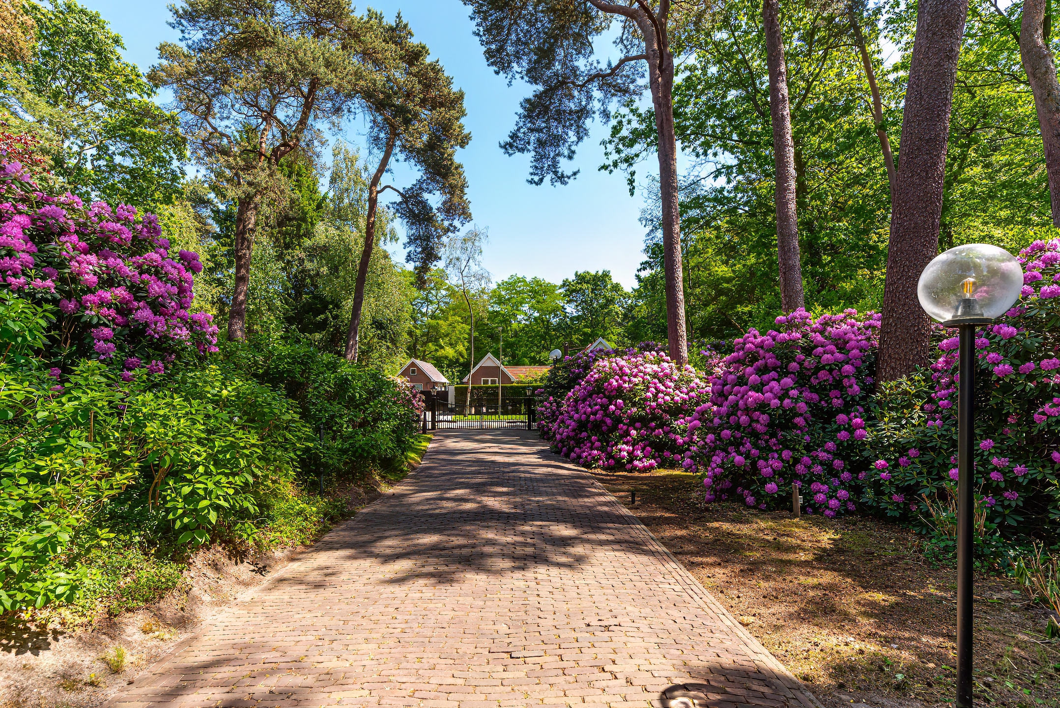  A Private Park Estate in the Heart of Bosch en Duin - 物件實景