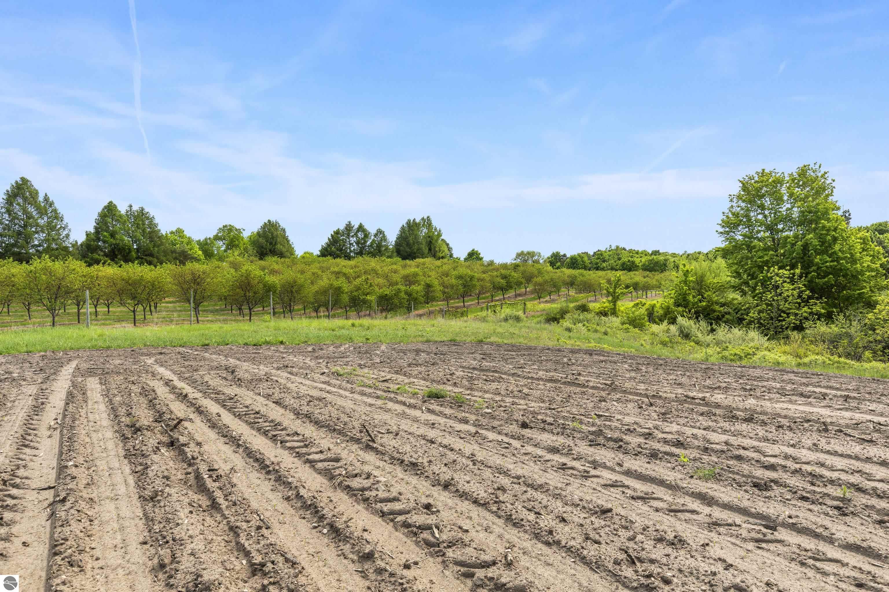 Beulah, Michigan, 49617, United States, ,Land,For Sale,1938552