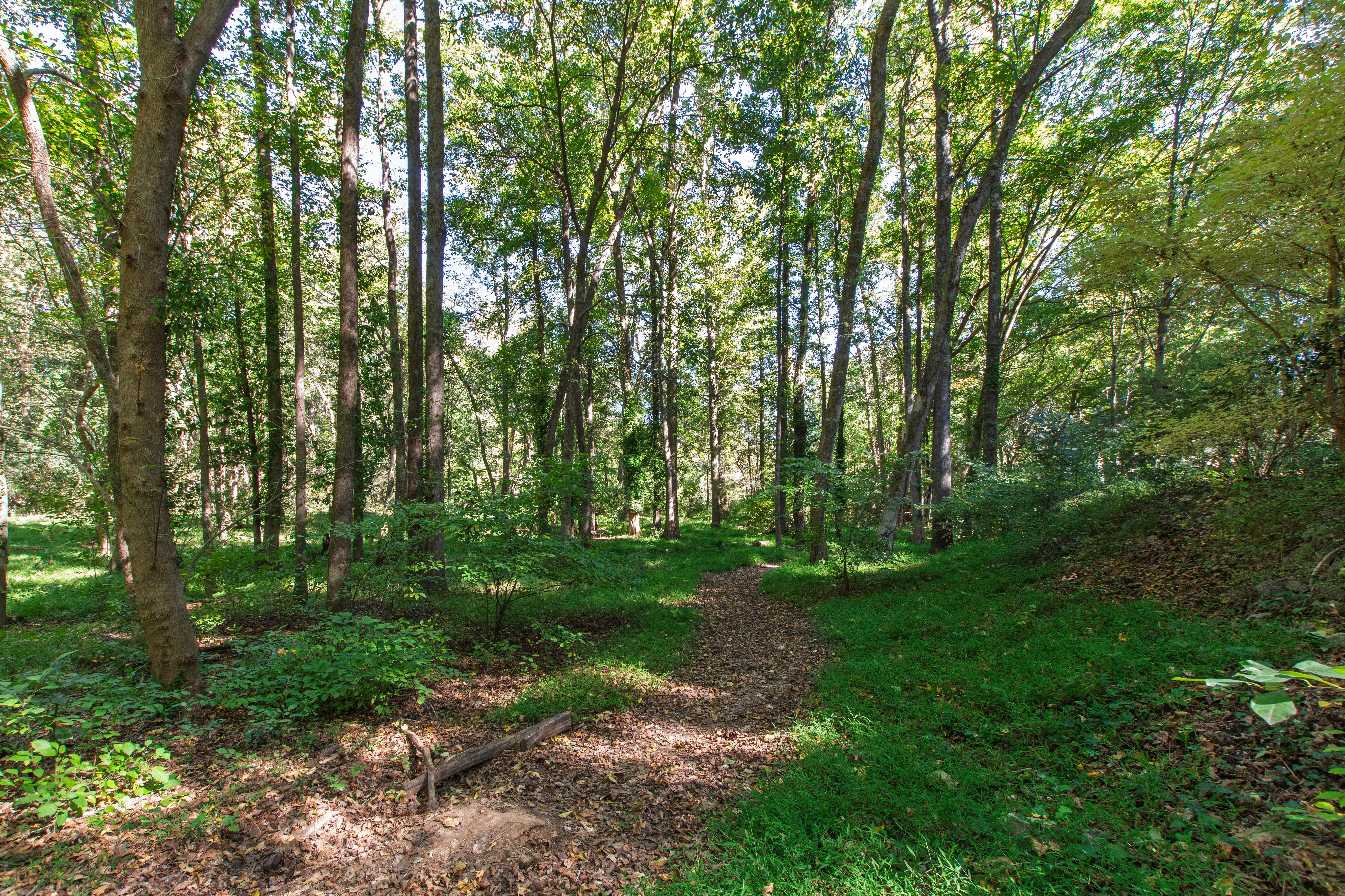  2845 Claremont Road, Raleigh, NC 27608 - 物件實景