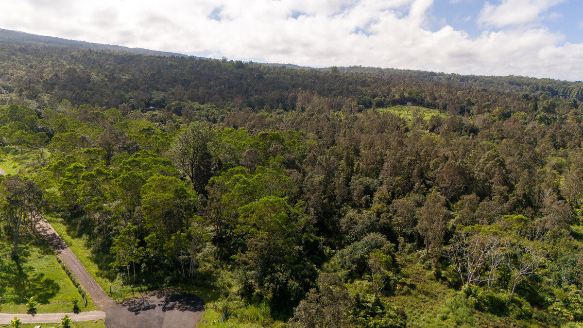 Holualoa, Hawaii, 96725, United States, ,Land,For Sale,1897045