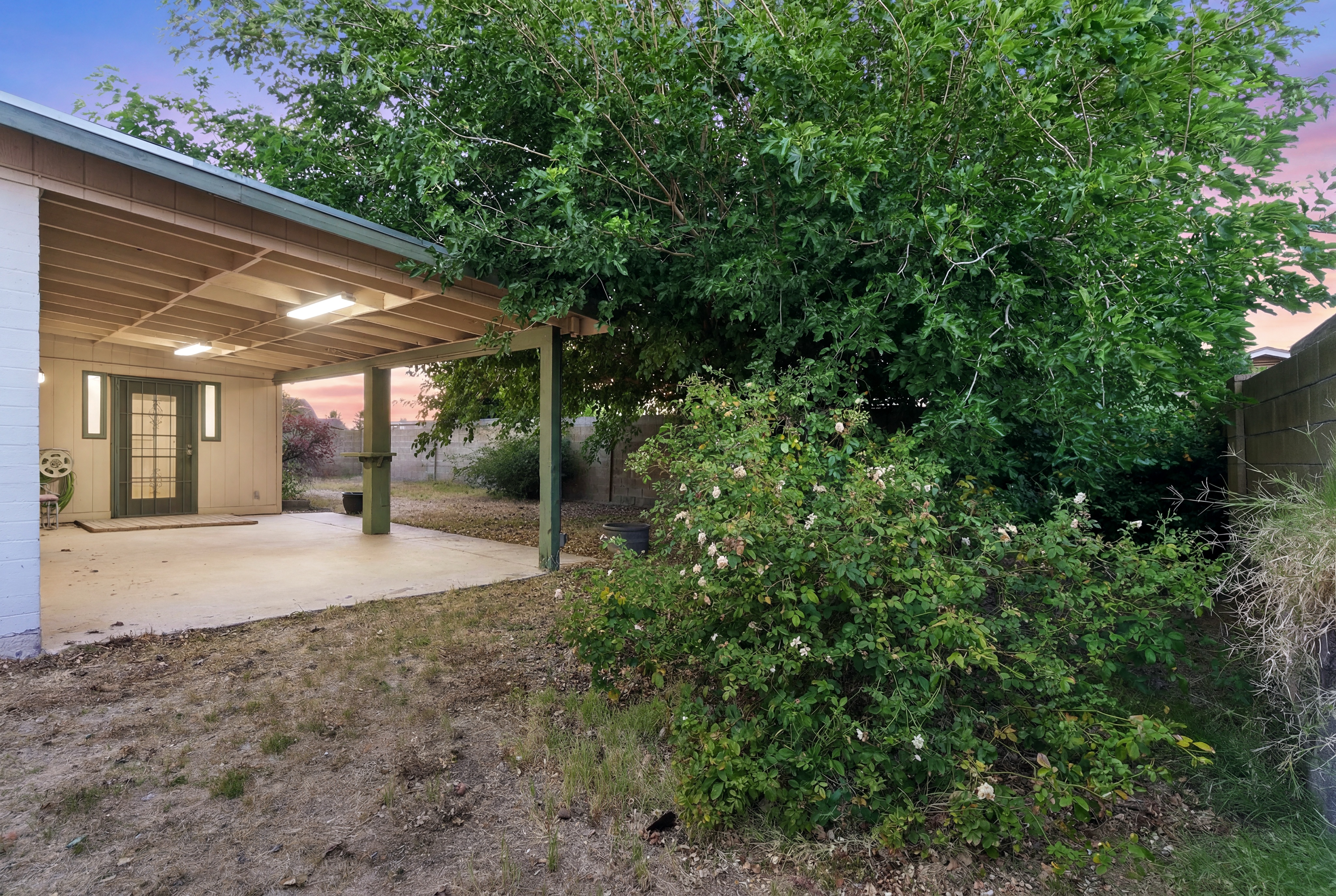  1434 West Kerry Lane  Phoenix, AZ - 物件實景