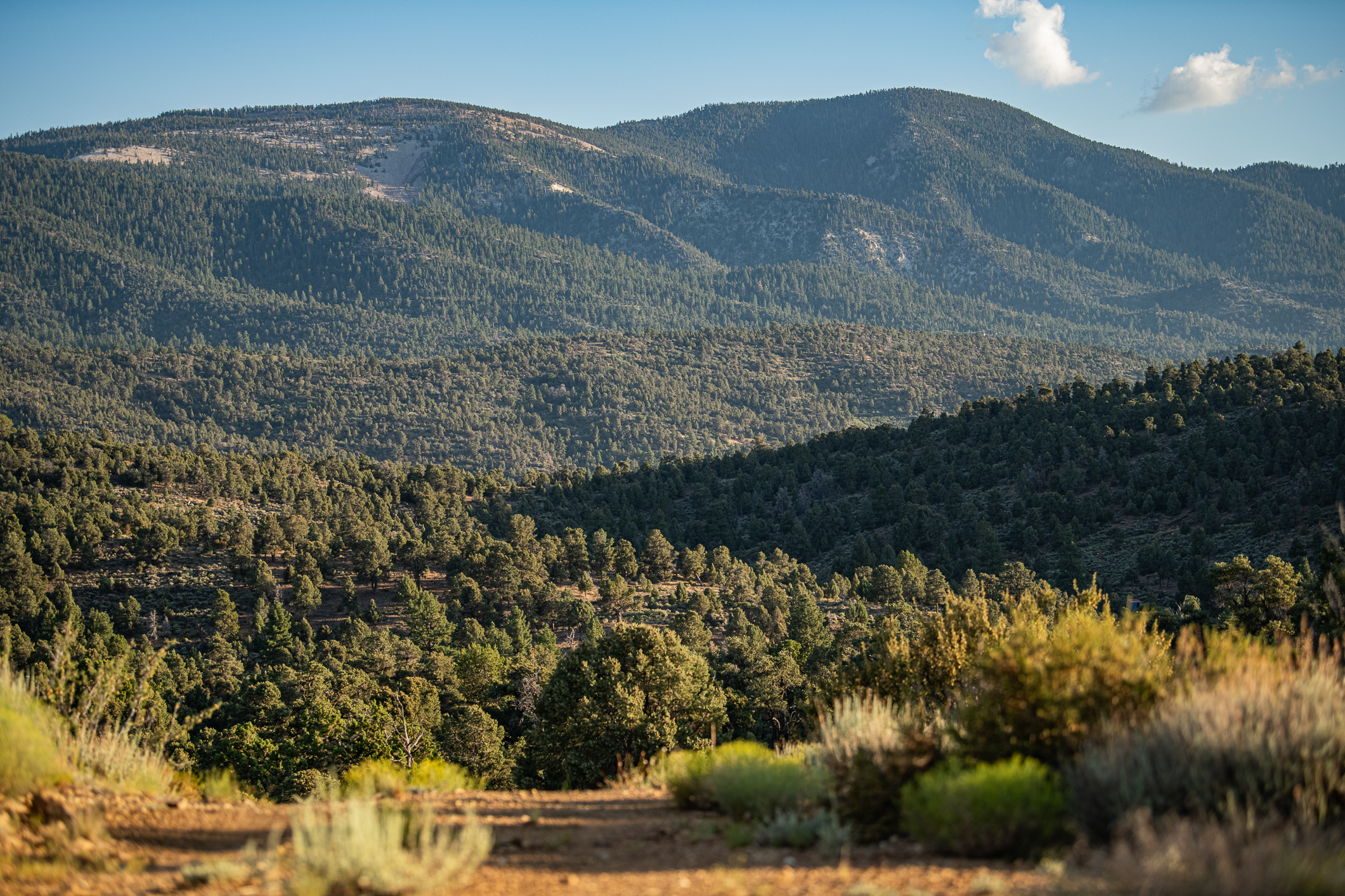  550 Eagle Ridge Road, Big Bear Lake, CA 92314 - 物件實景
