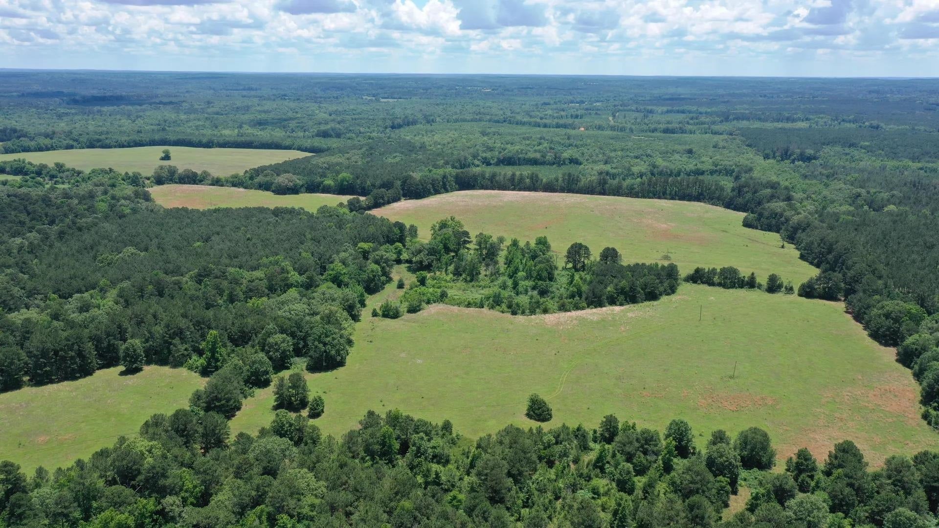 Douglassville, Texas, 75560, United States, ,Land,For Sale,2048006