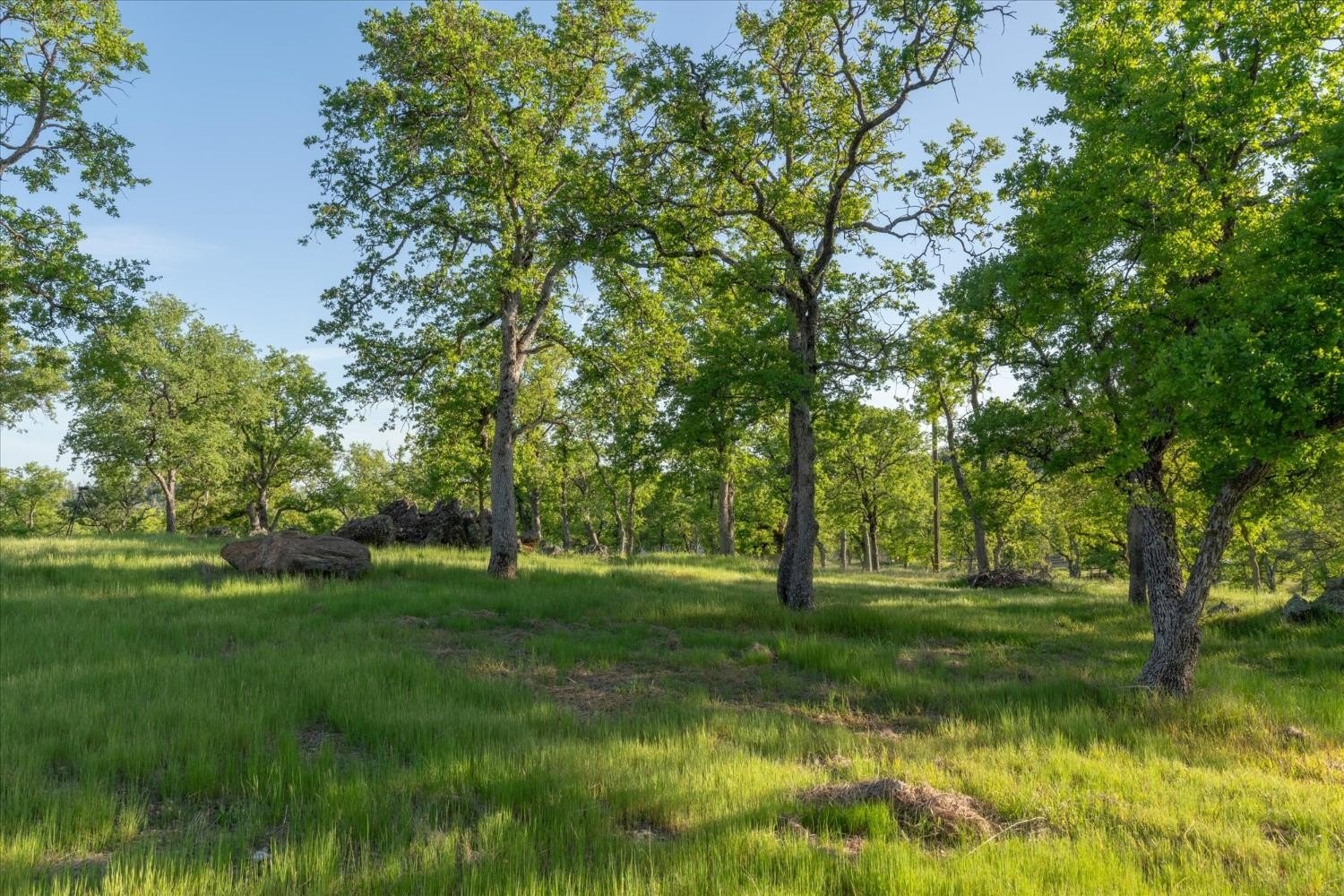 Angels Camp, California, 95222, United States, 4 Bedrooms Bedrooms, ,3 BathroomsBathrooms,Residential,For Sale,1990494
