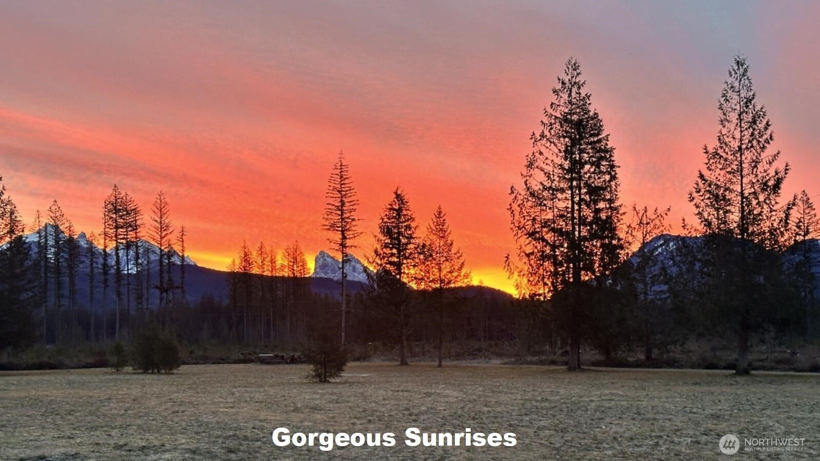 Gold Bar, Washington, 98251, United States, 4 Bedrooms Bedrooms, ,2 BathroomsBathrooms,Residential,For Sale,2032220