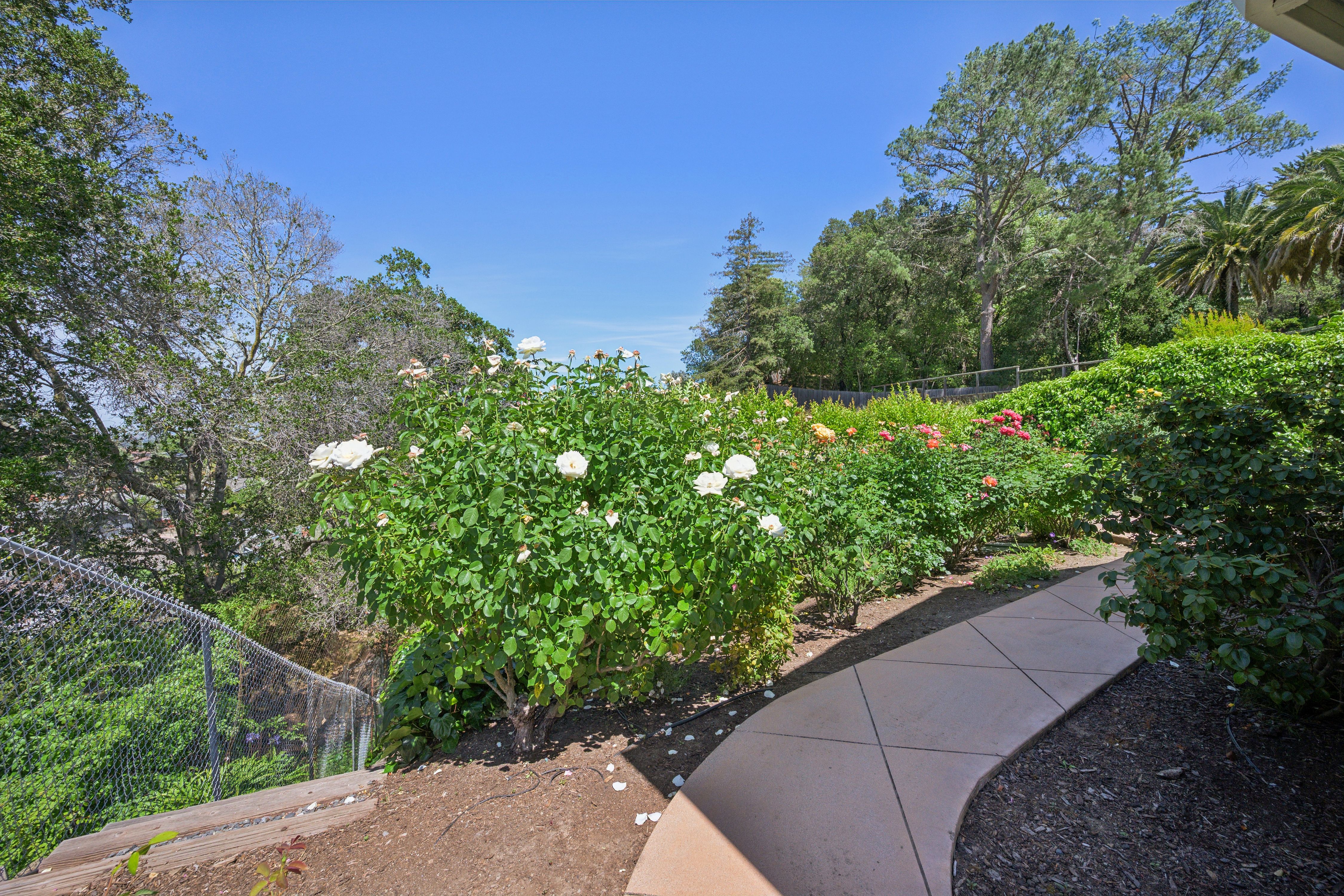  Exceptional Single Level Home in Loma Verde - 物件實景