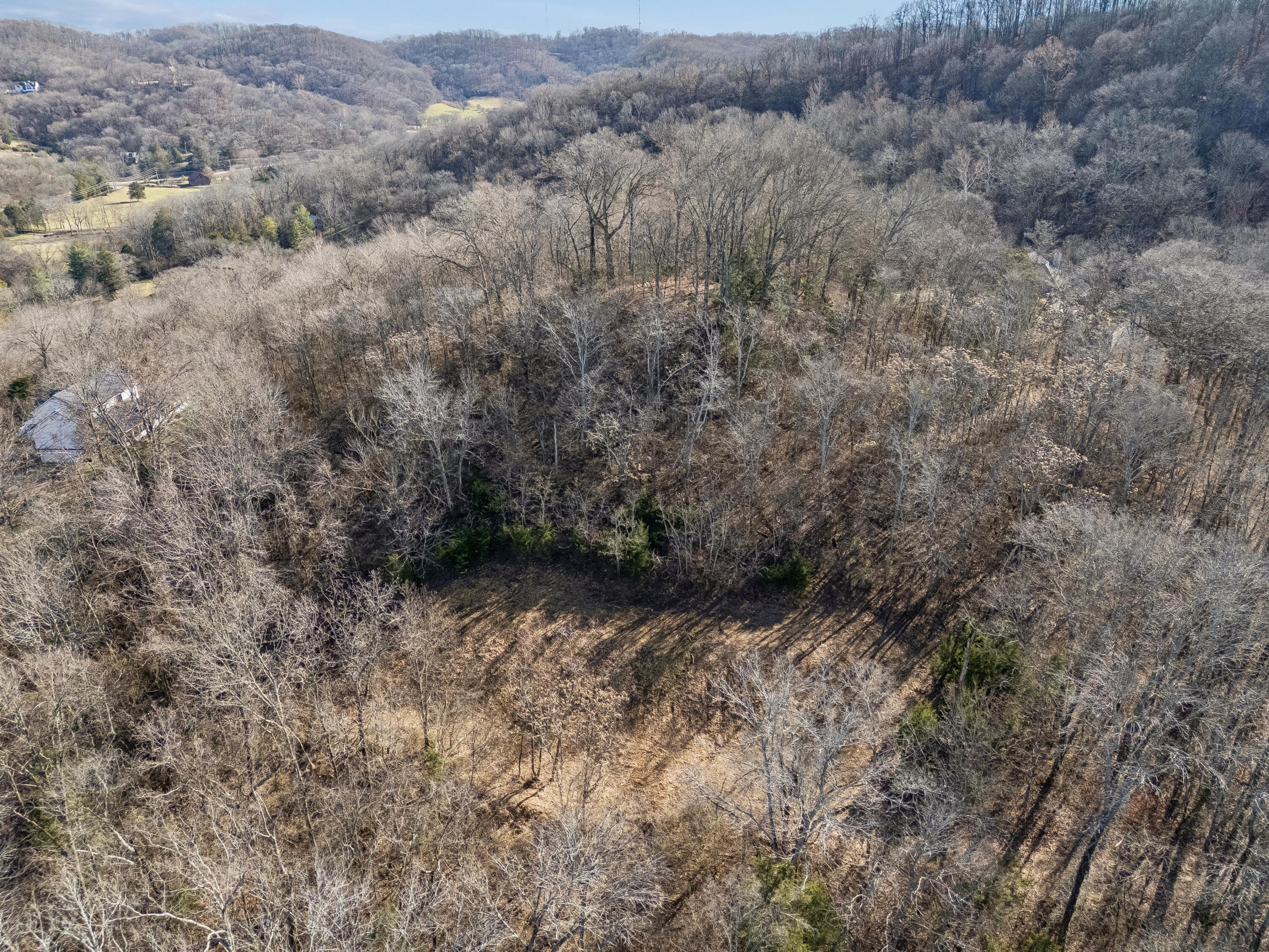 Brentwood, Tennessee, 37027, United States, ,Land,For Sale,2005446