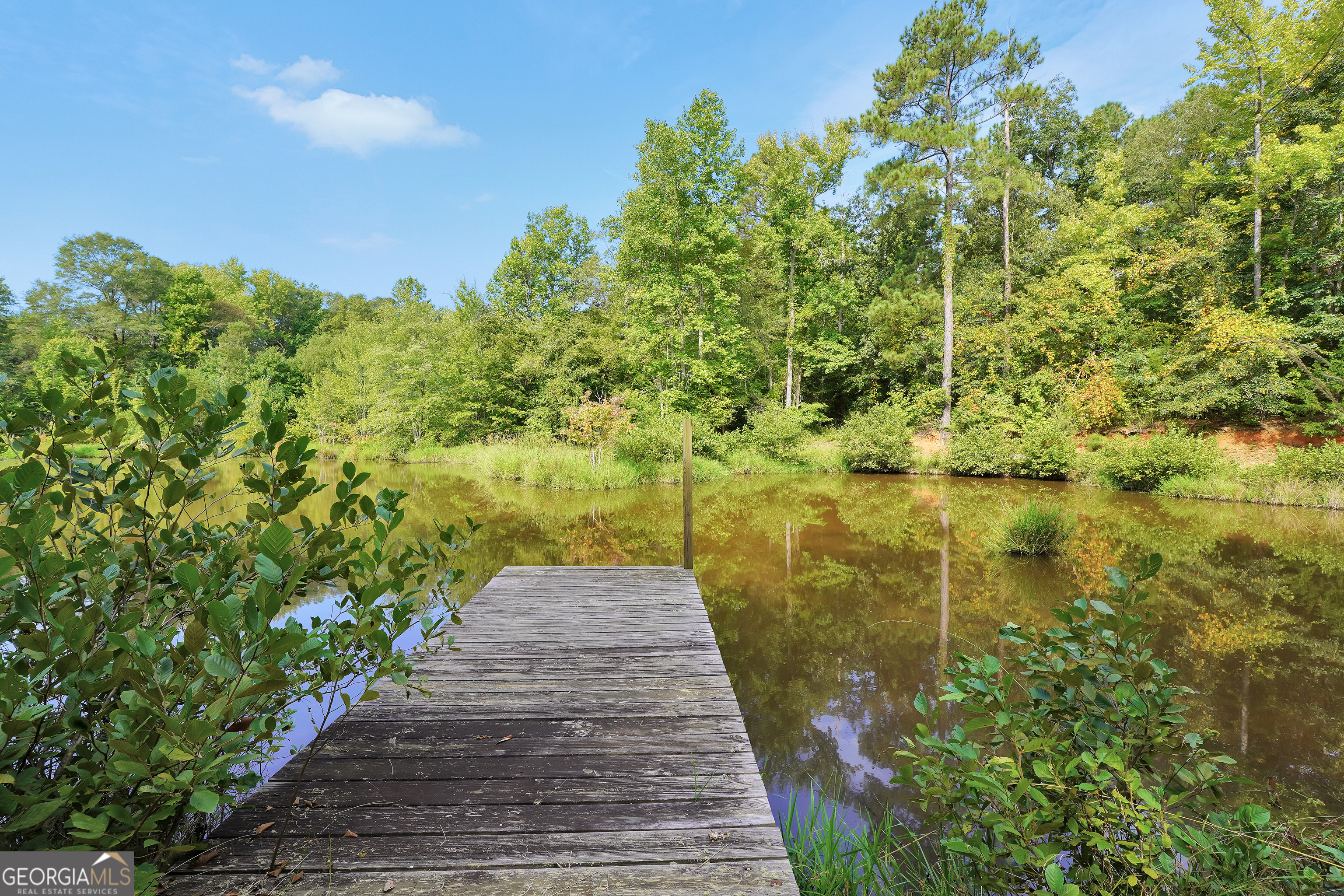 Williamson, Georgia, 30292, United States, 2 Bedrooms Bedrooms, ,2 BathroomsBathrooms,Residential,For Sale,1982609